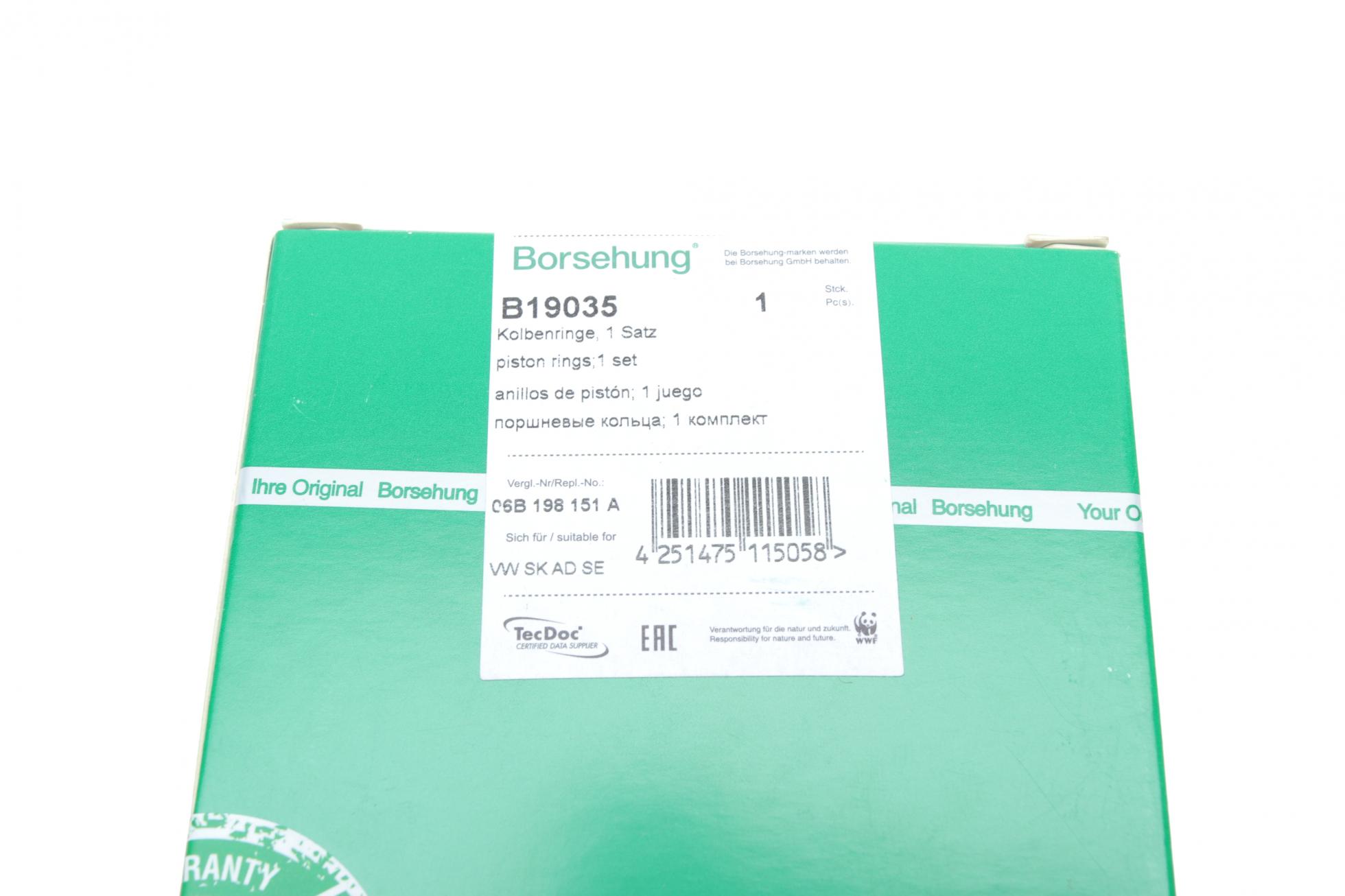 B19035 Borsehung