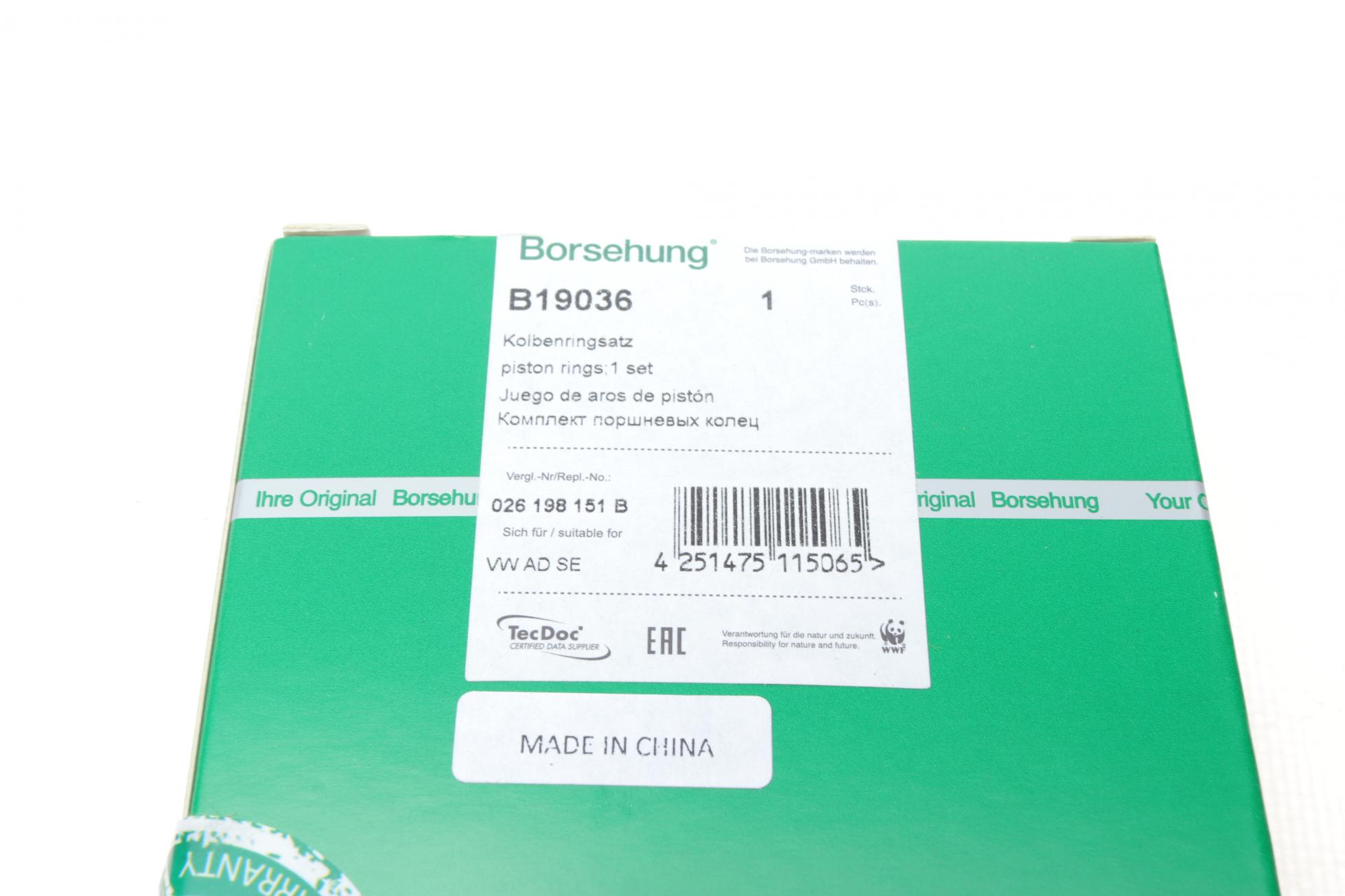 B19036 Borsehung