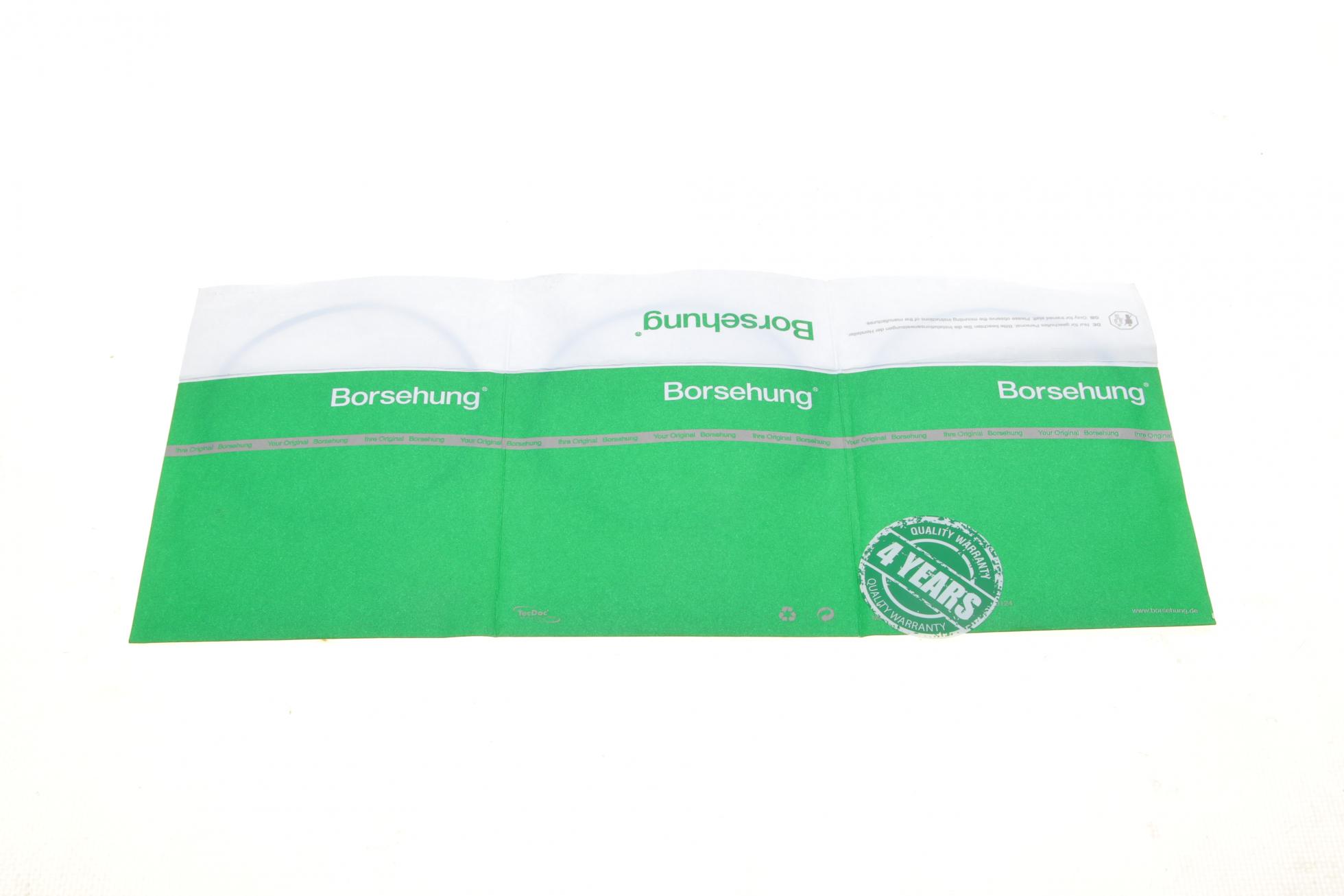 B19039 Borsehung