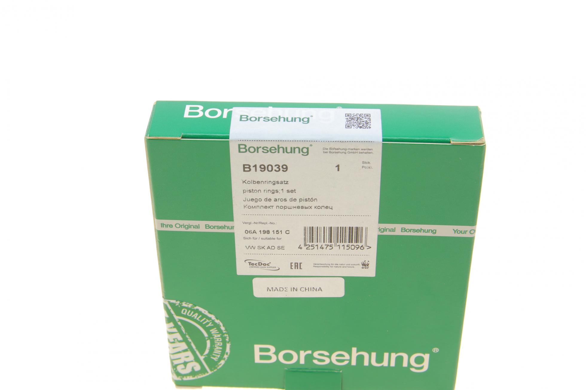B19039 Borsehung