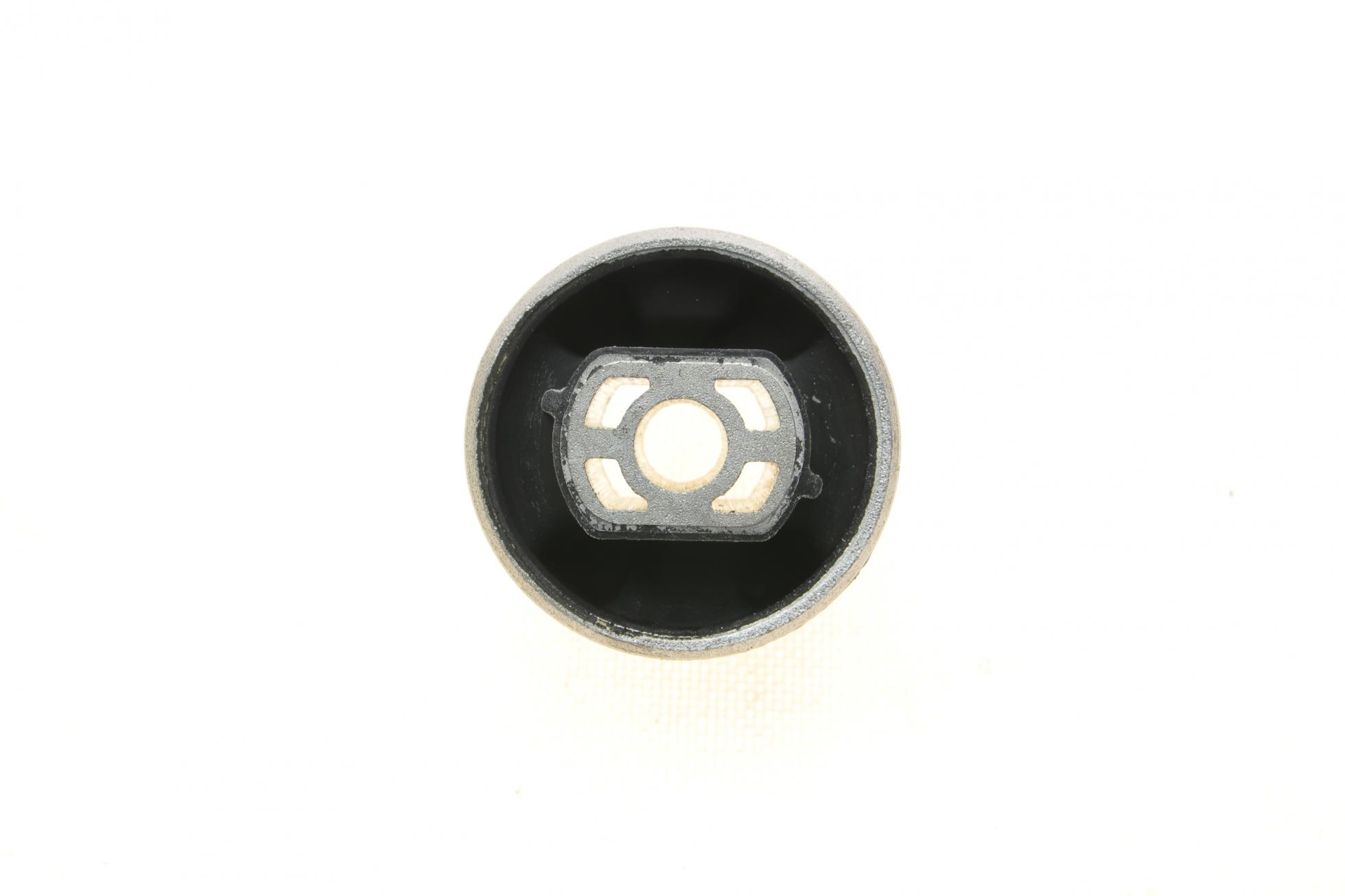 B19064 BORSEHUNG
