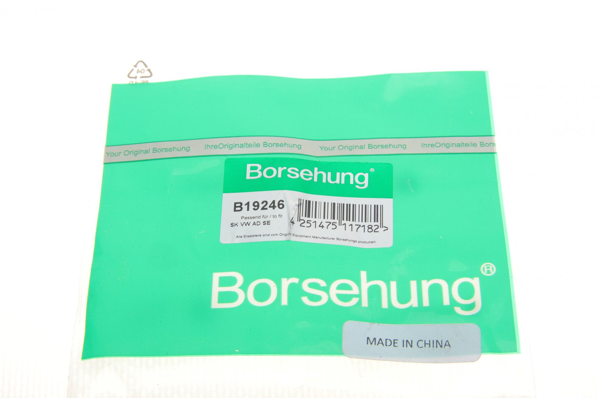 B19246 BORSEHUNG