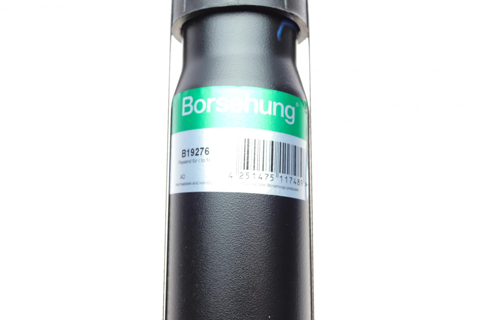 B19276 BORSEHUNG