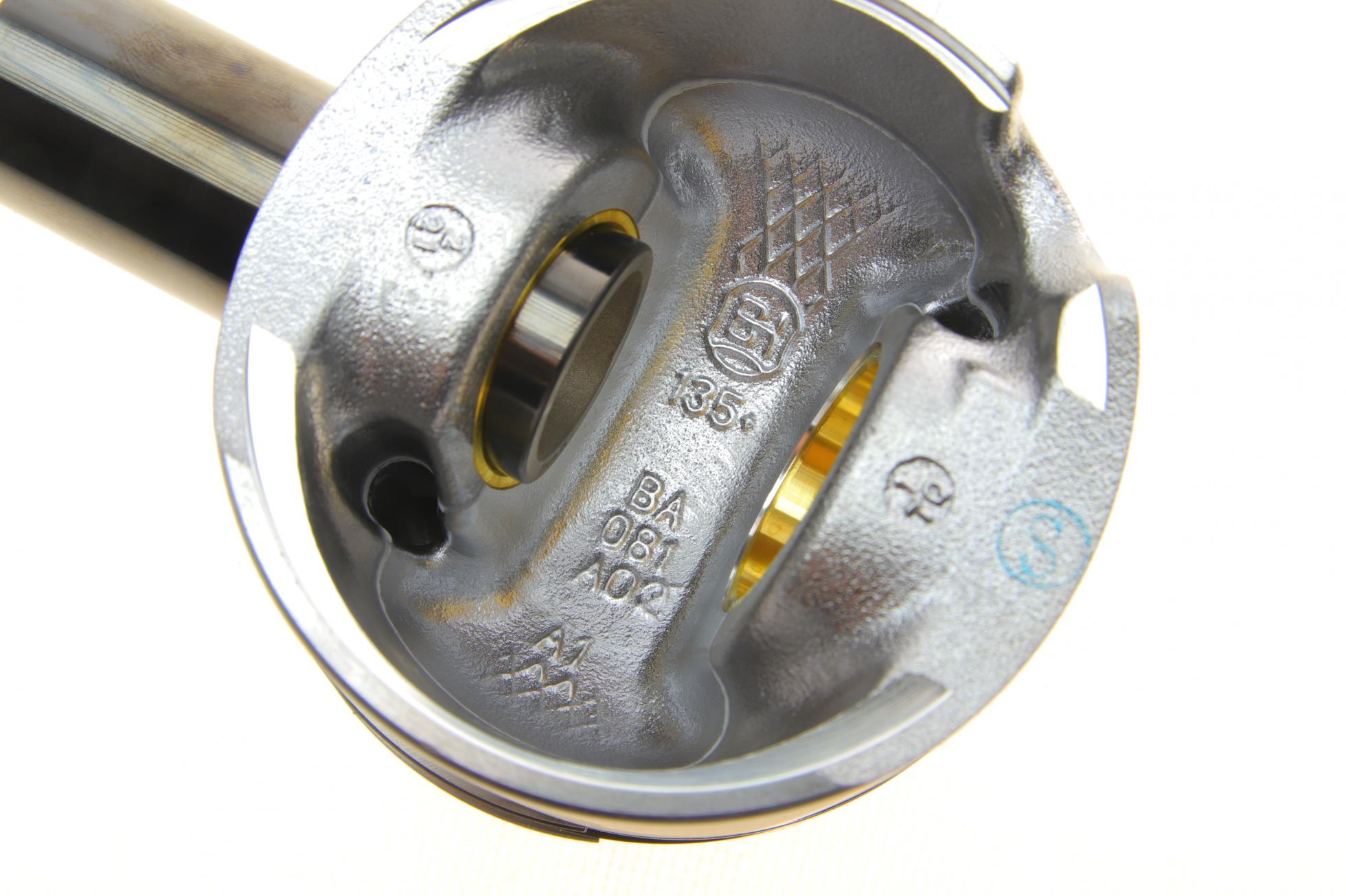 B19299 BORSEHUNG