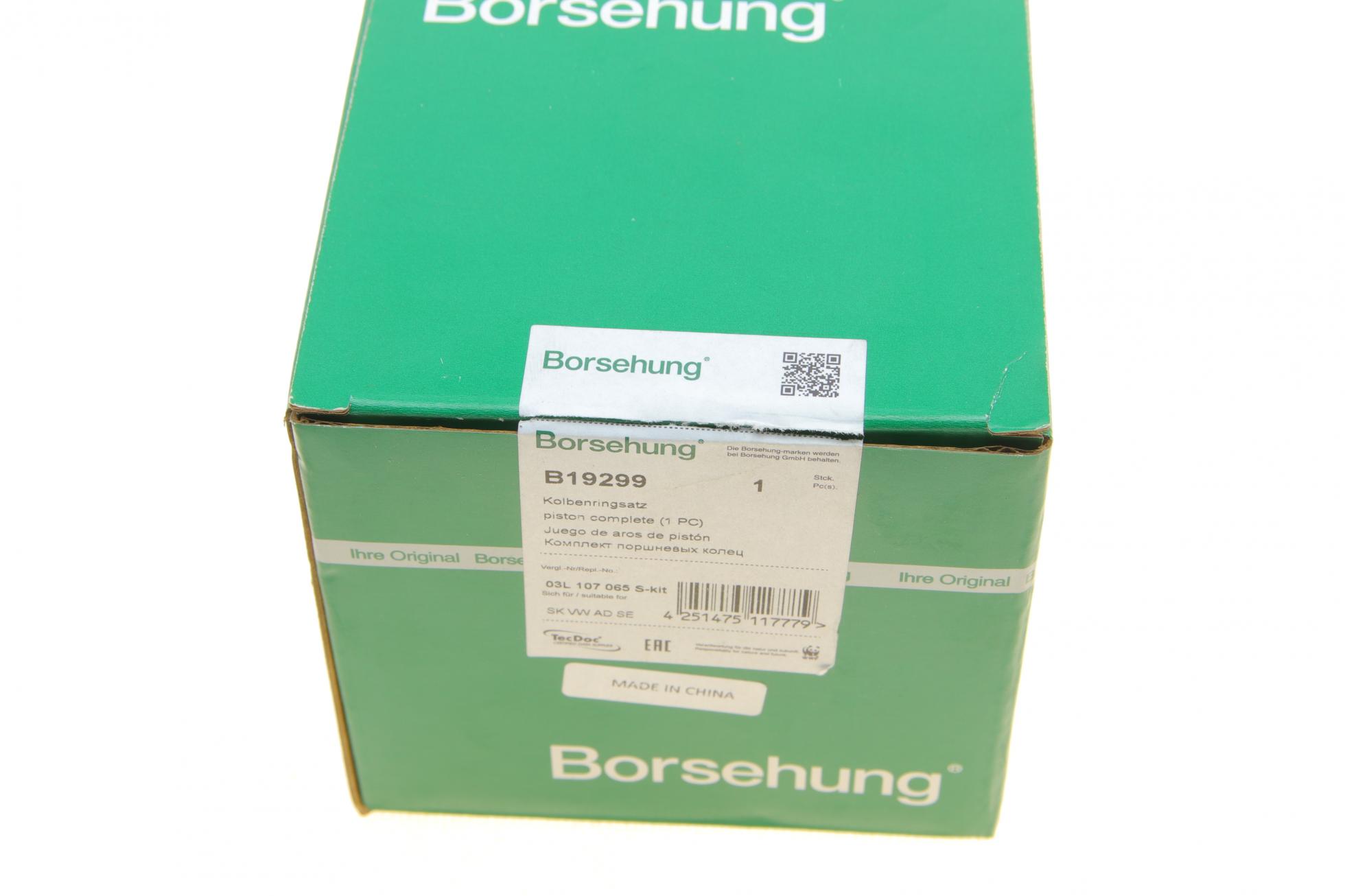 B19299 BORSEHUNG