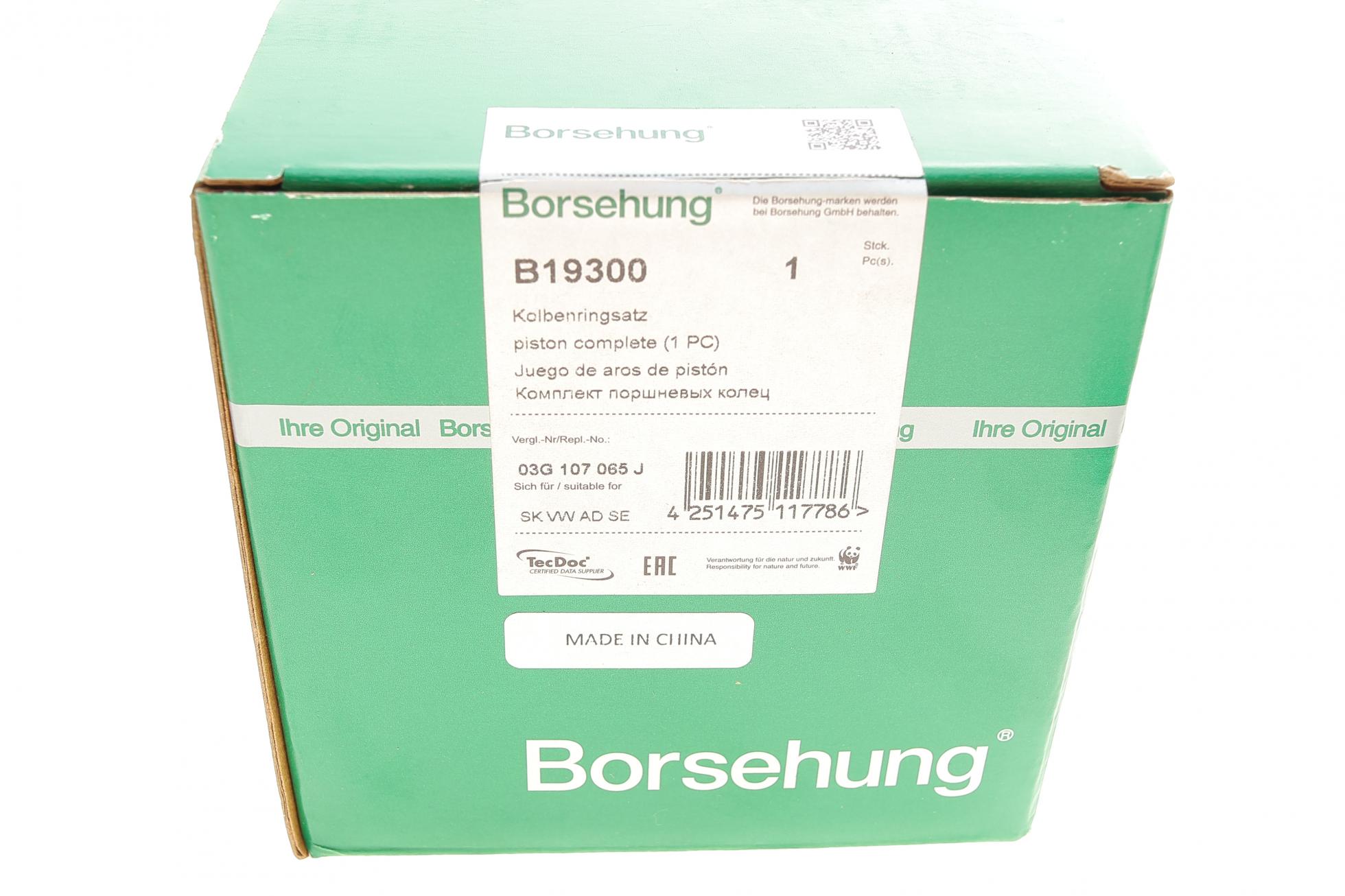 B19300 BORSEHUNG