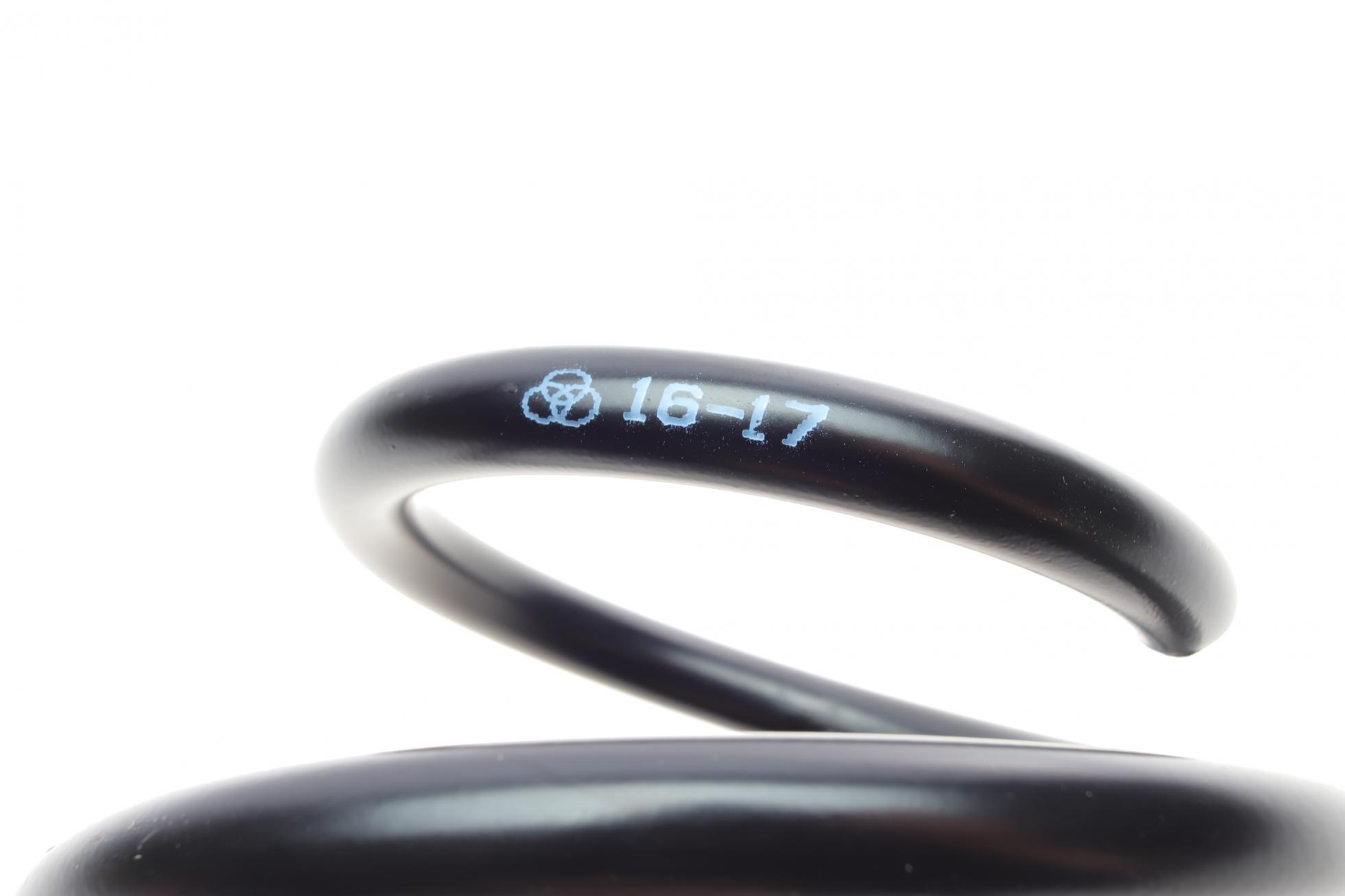 B19305 BORSEHUNG