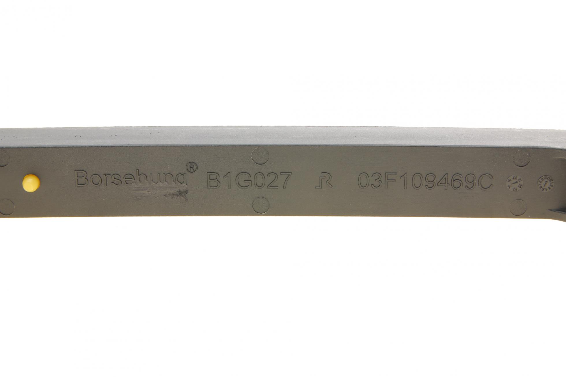 B1G027 BORSEHUNG