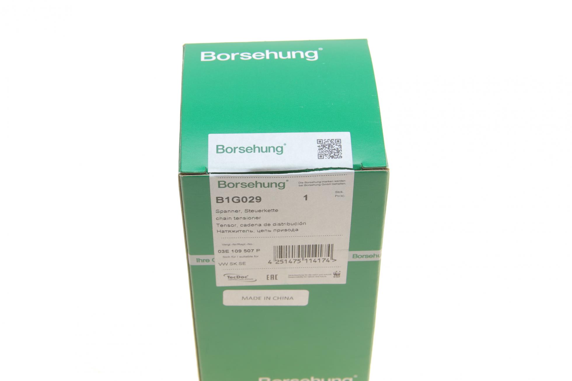 B1G029 BORSEHUNG