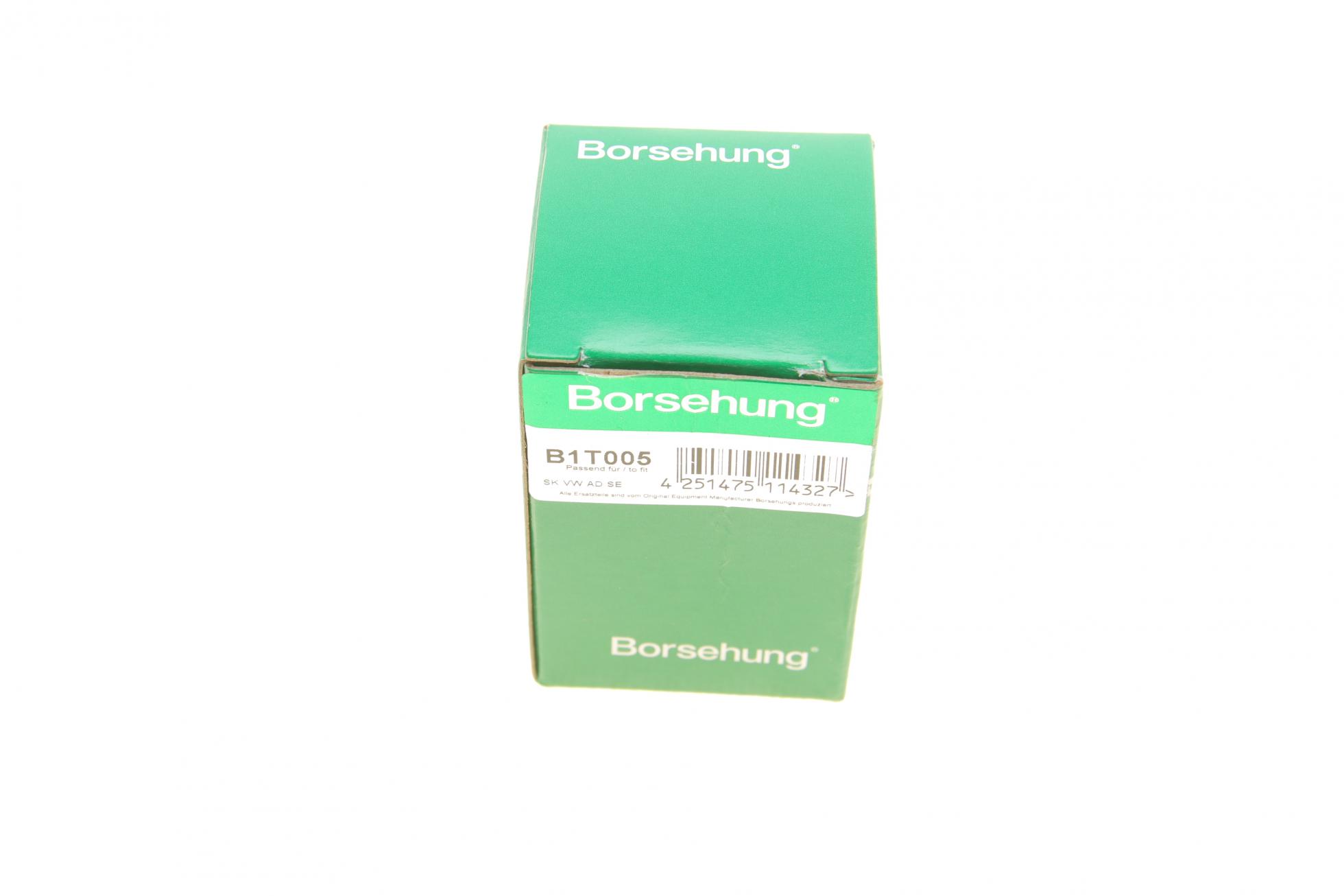 B1T005 BORSEHUNG