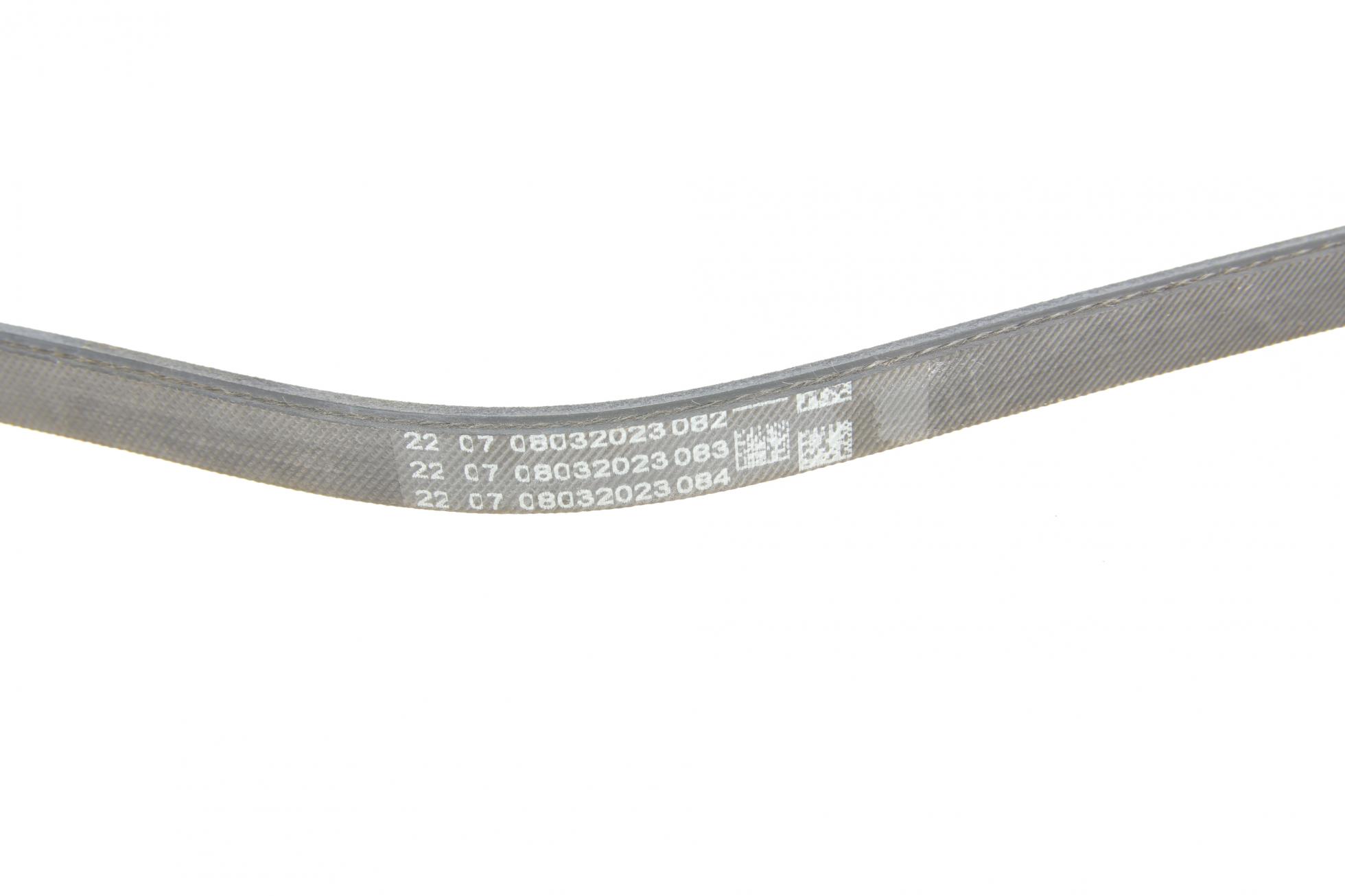 3PK798ELAST CONTITECH