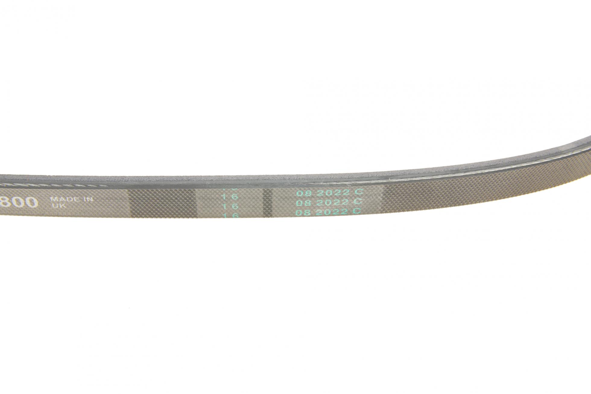 3PK800 CONTITECH