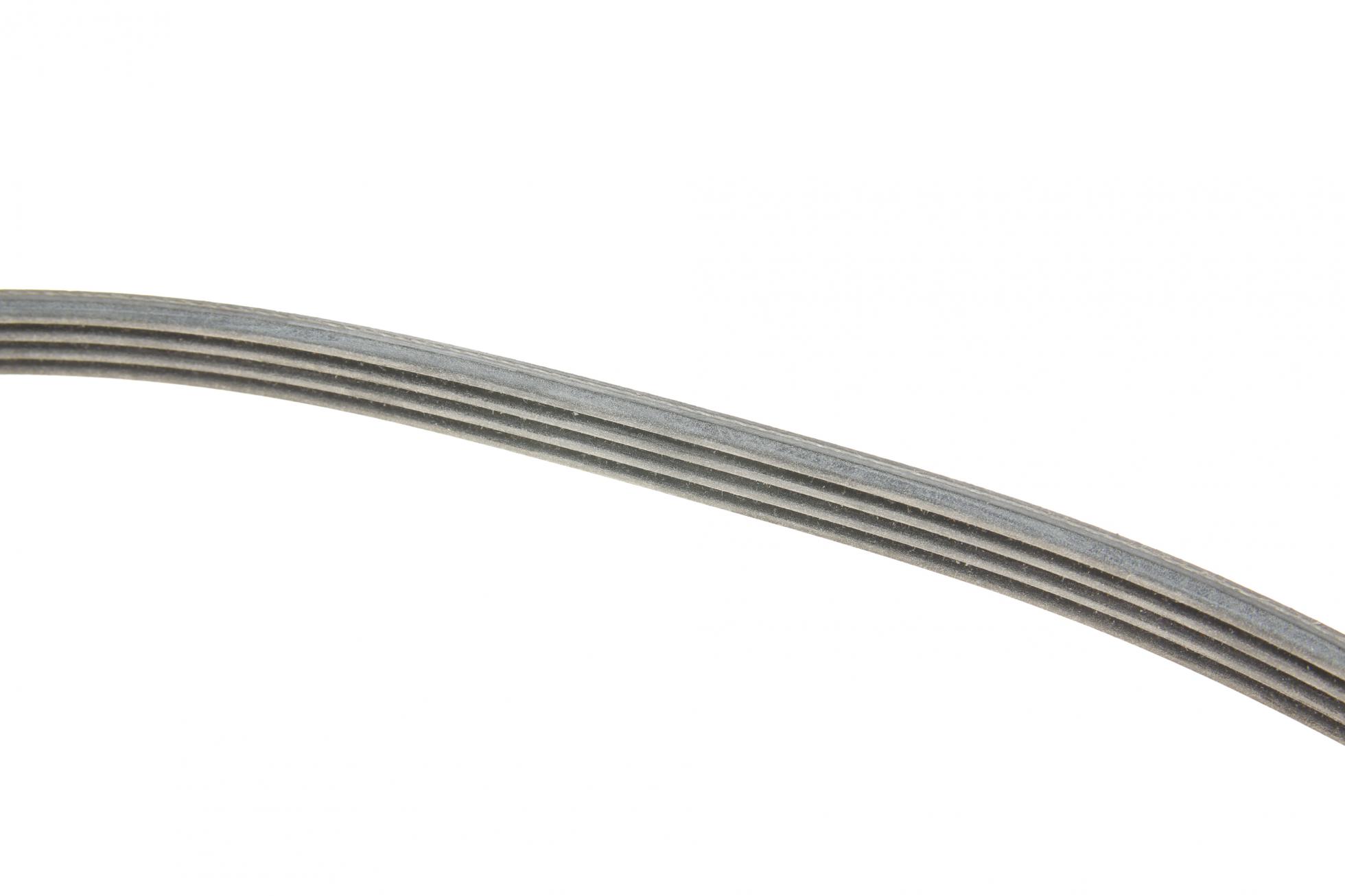 4PK922ELASTT1 CONTITECH