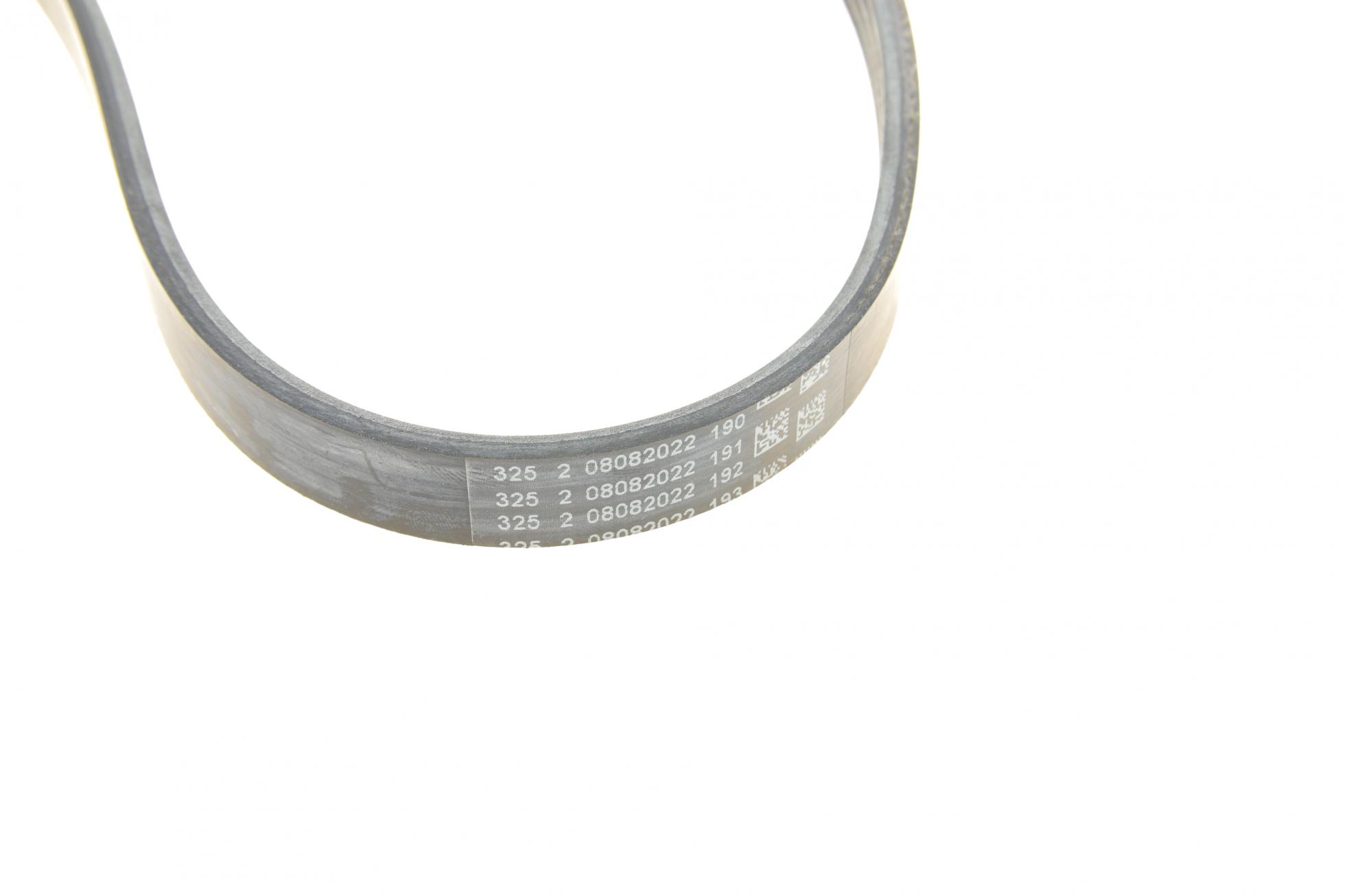 4PK922ELASTT1 CONTITECH