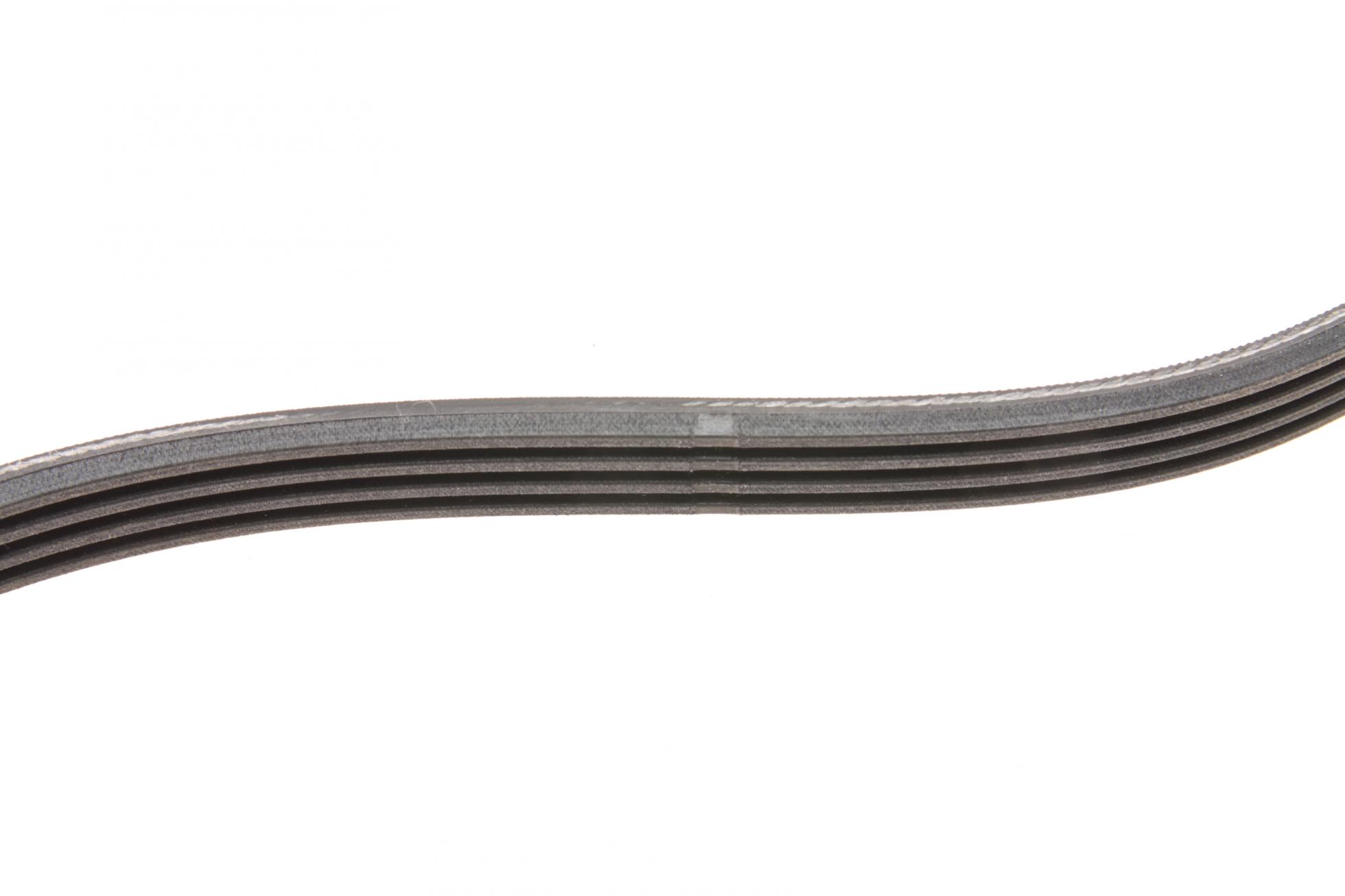 4PK954 CONTITECH