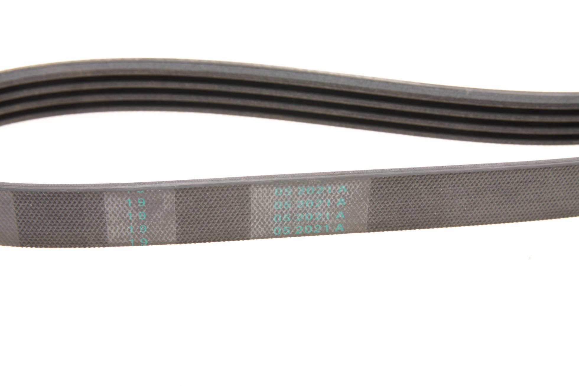 4PK954 CONTITECH