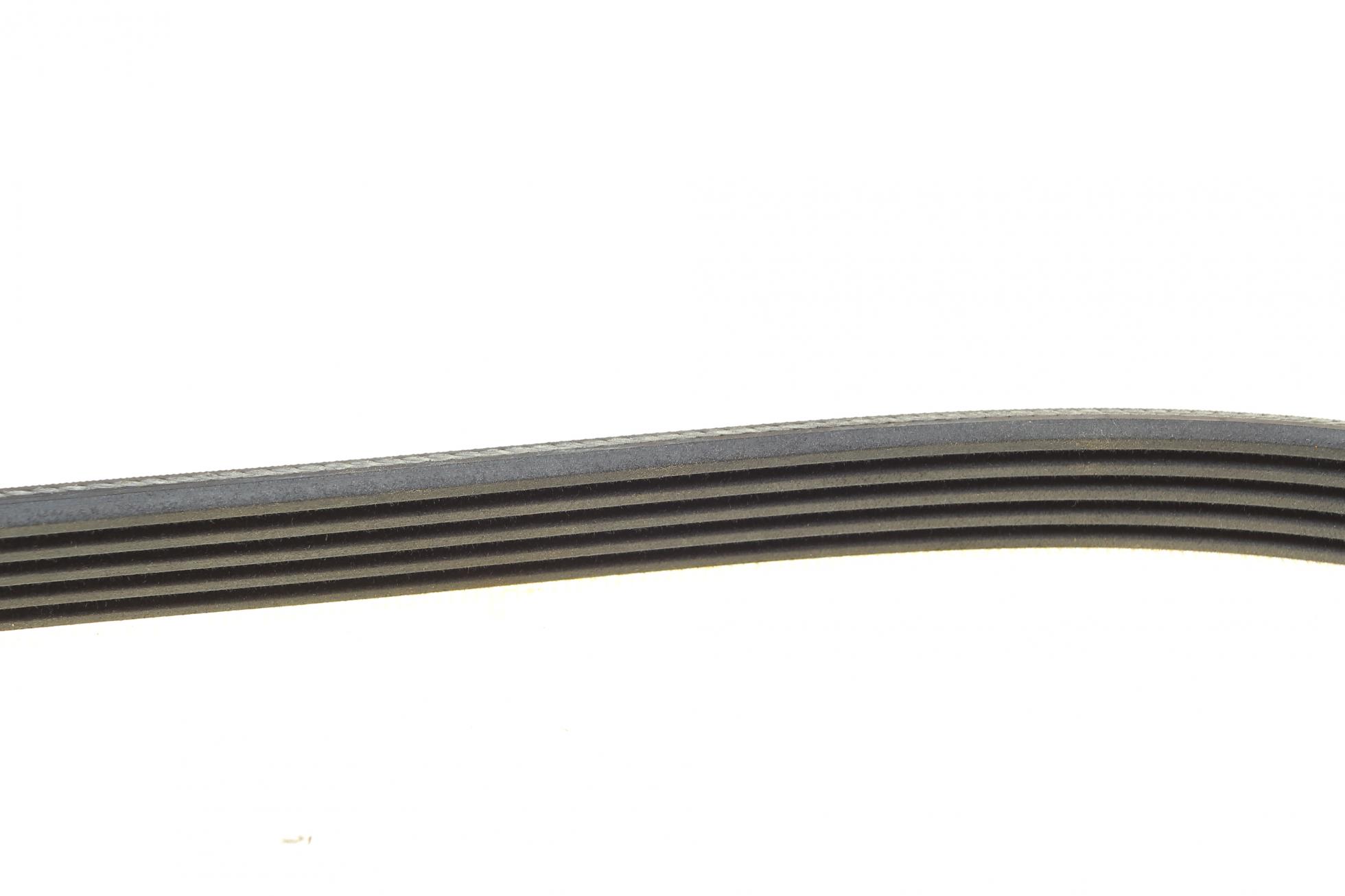 5PK1130 CONTITECH