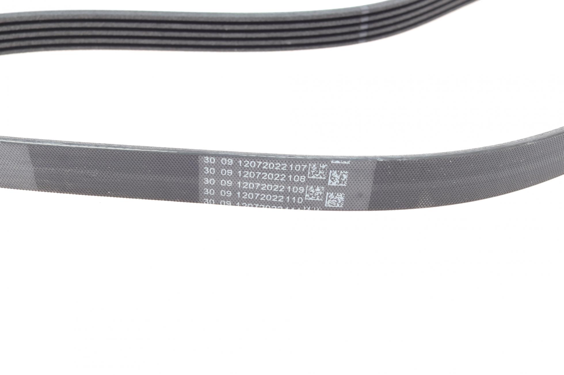 5PK1207 CONTITECH