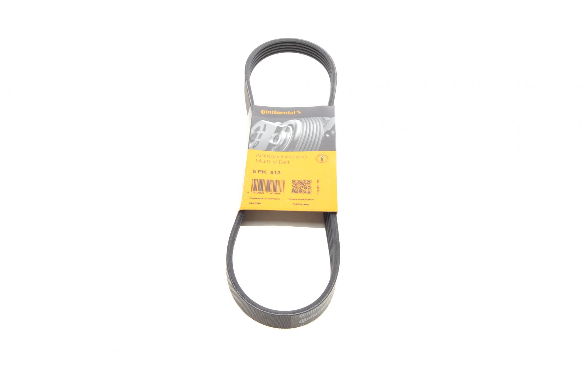 5PK813 CONTITECH