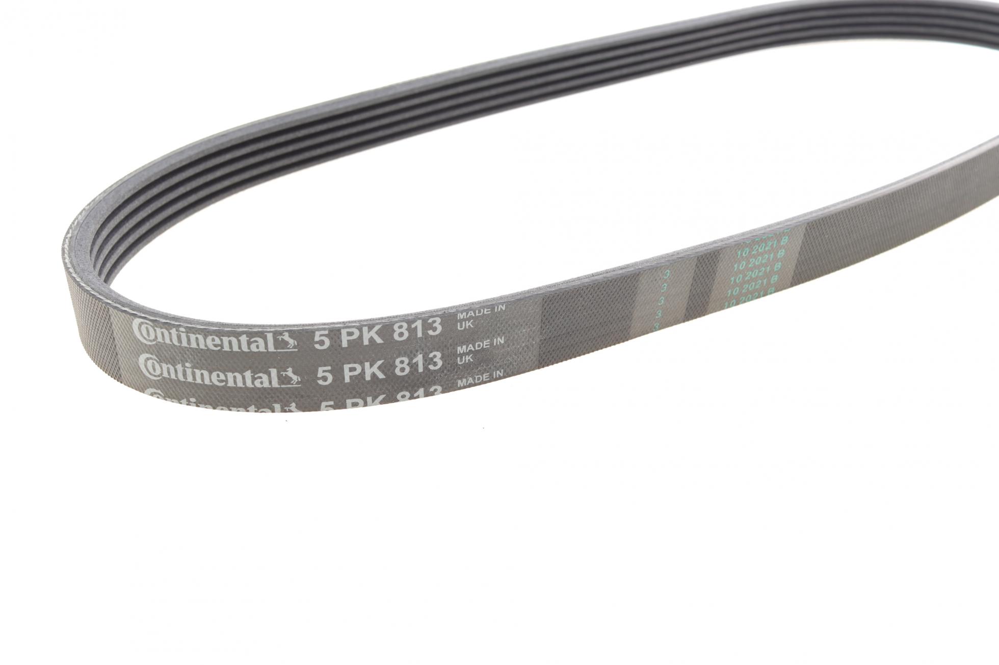 5PK813 CONTITECH