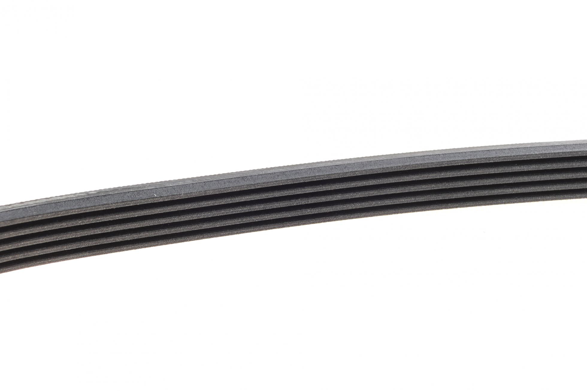 5PK813 CONTITECH