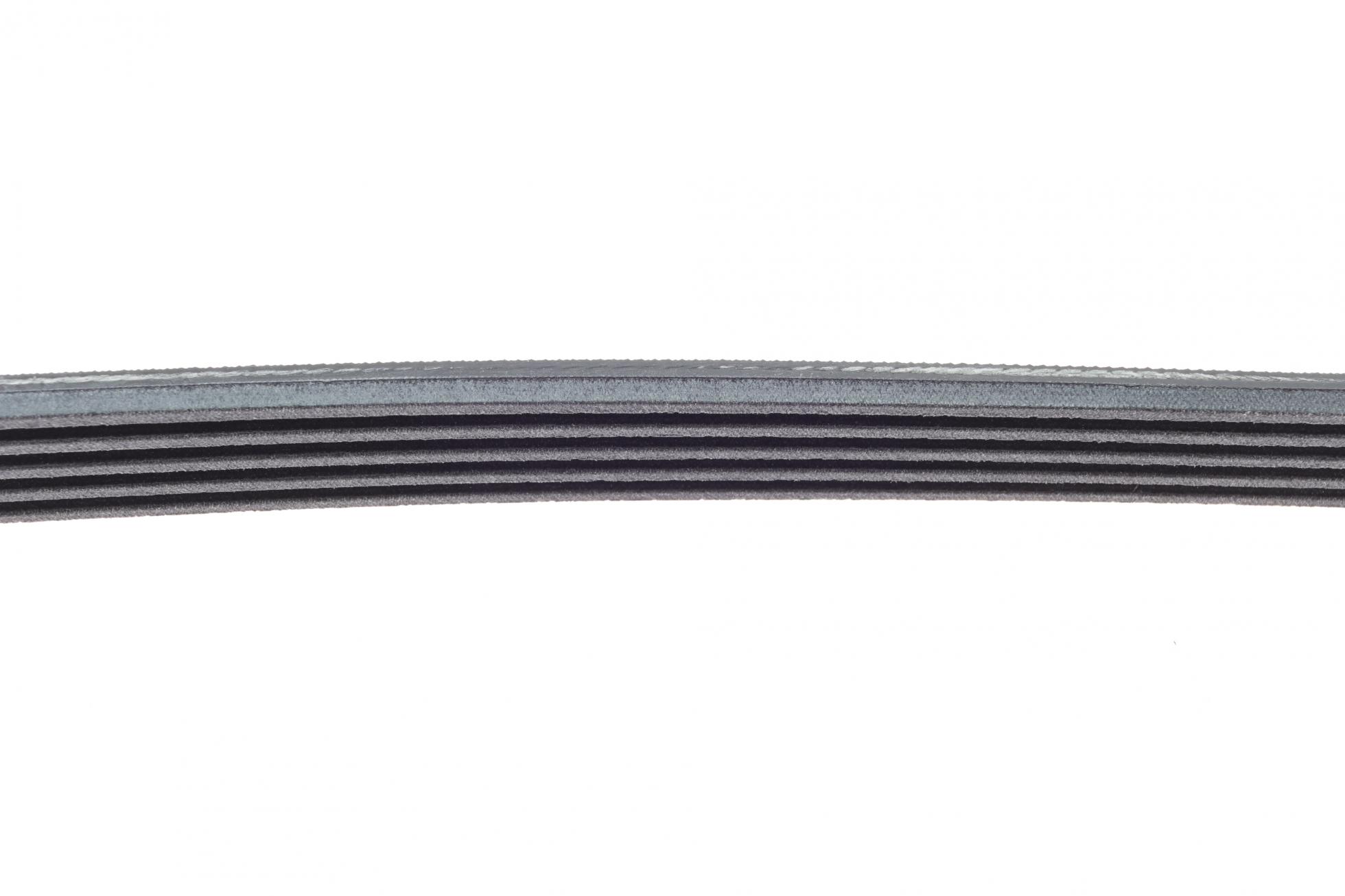 5PK915 CONTITECH