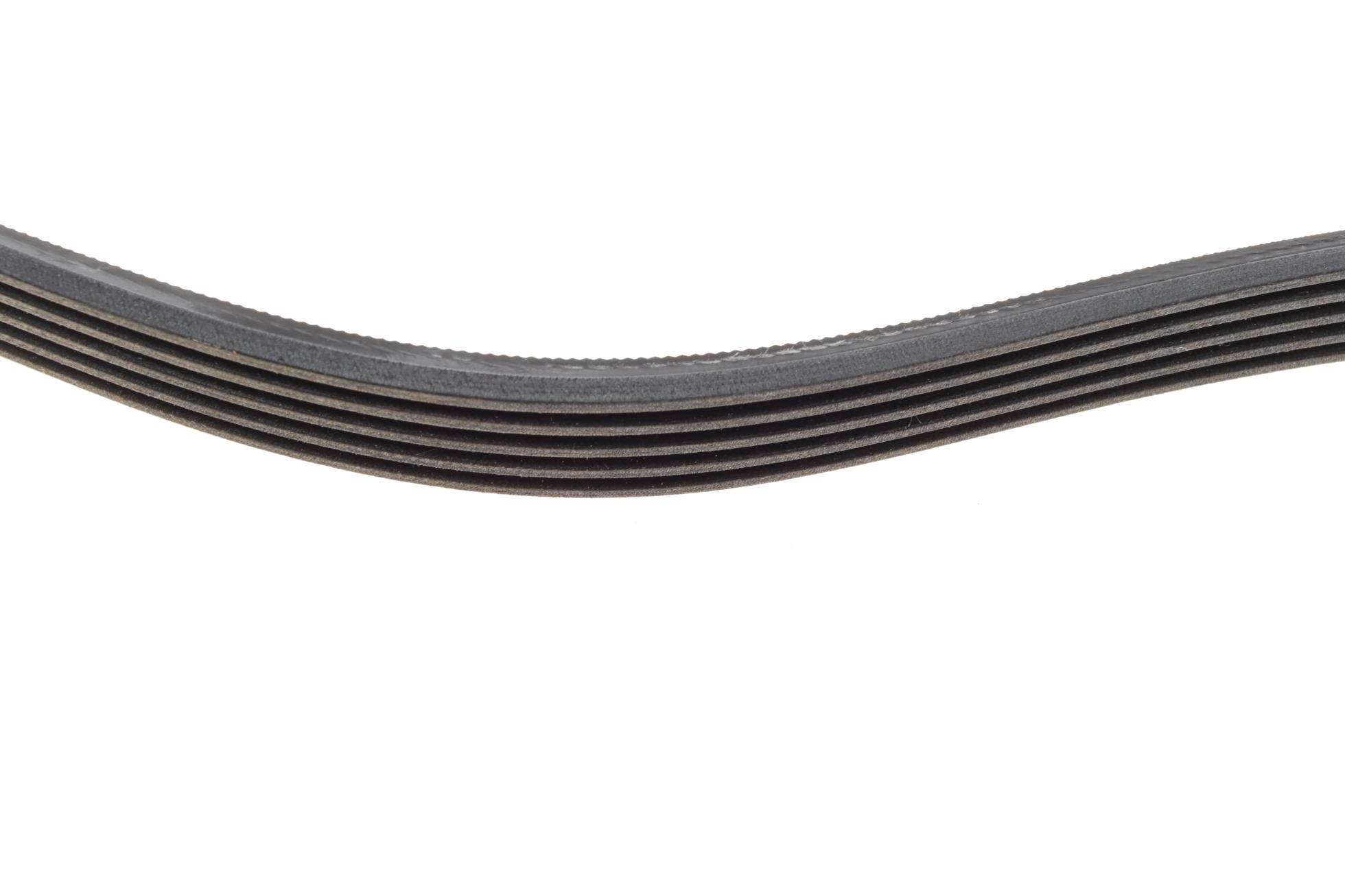 5PK920 CONTITECH
