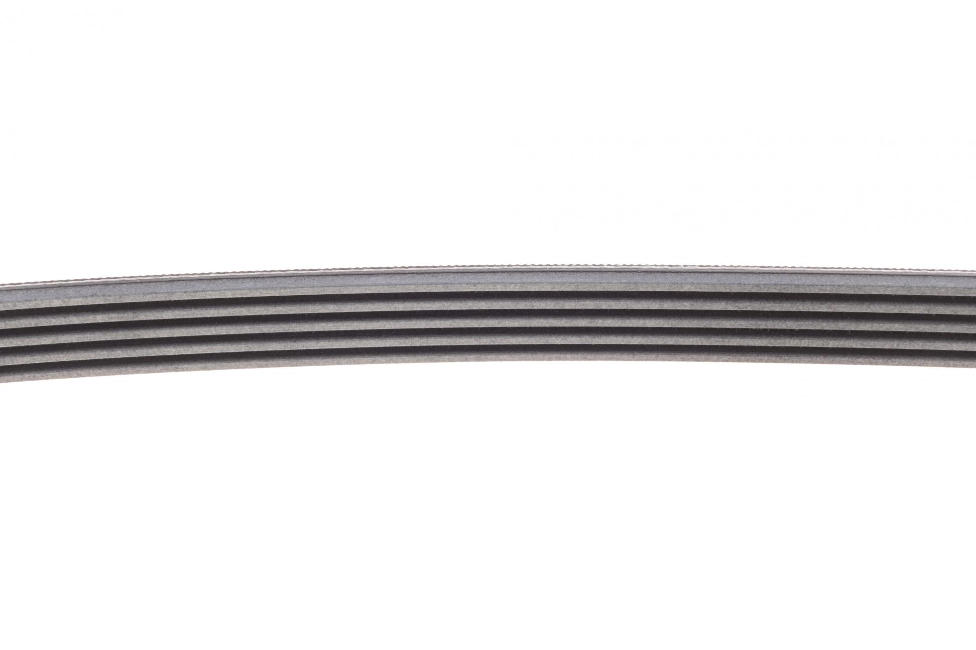 5PK925 CONTITECH