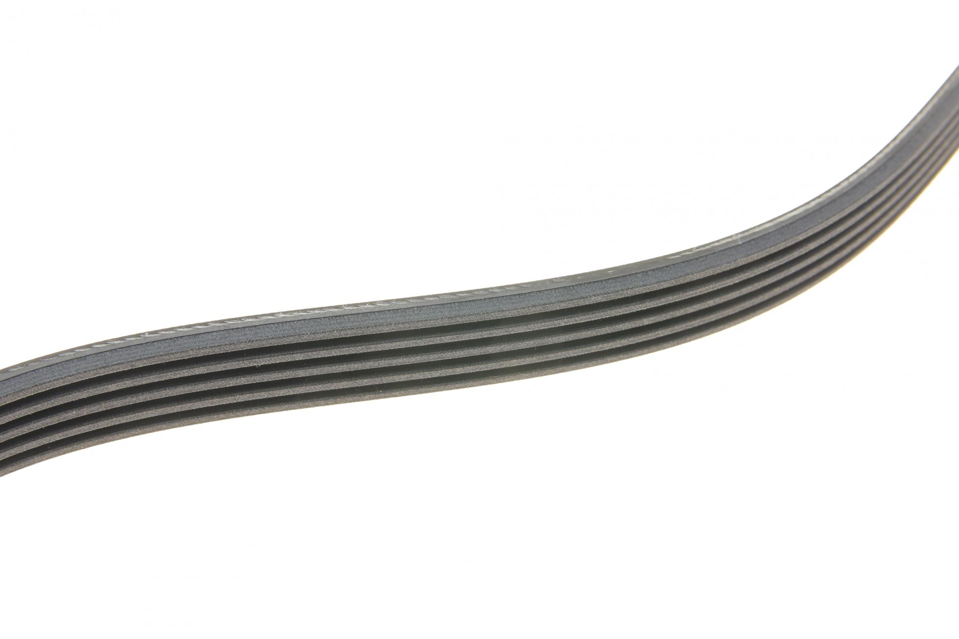 5PK934 CONTITECH