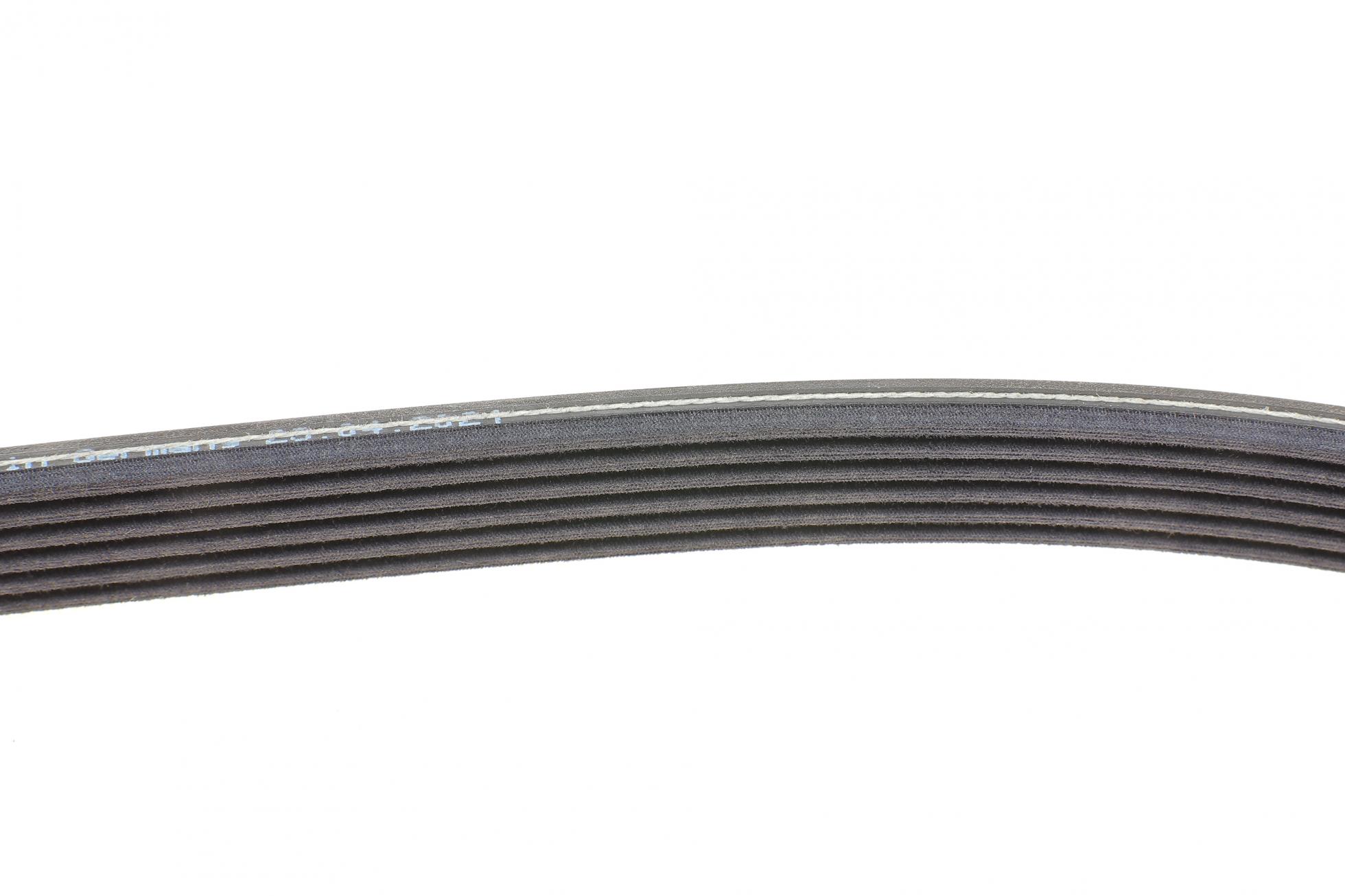 6DPK1195K1 CONTITECH