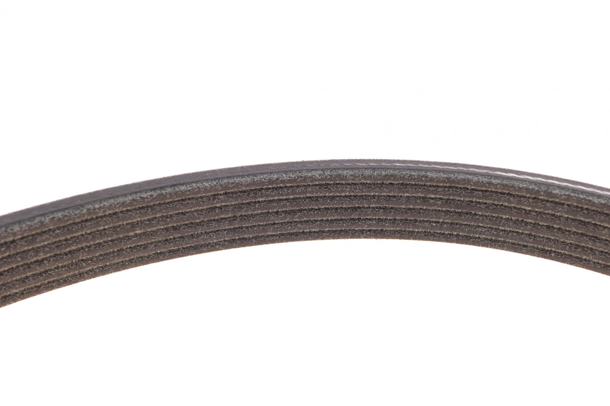 6DPK1195K2 CONTITECH