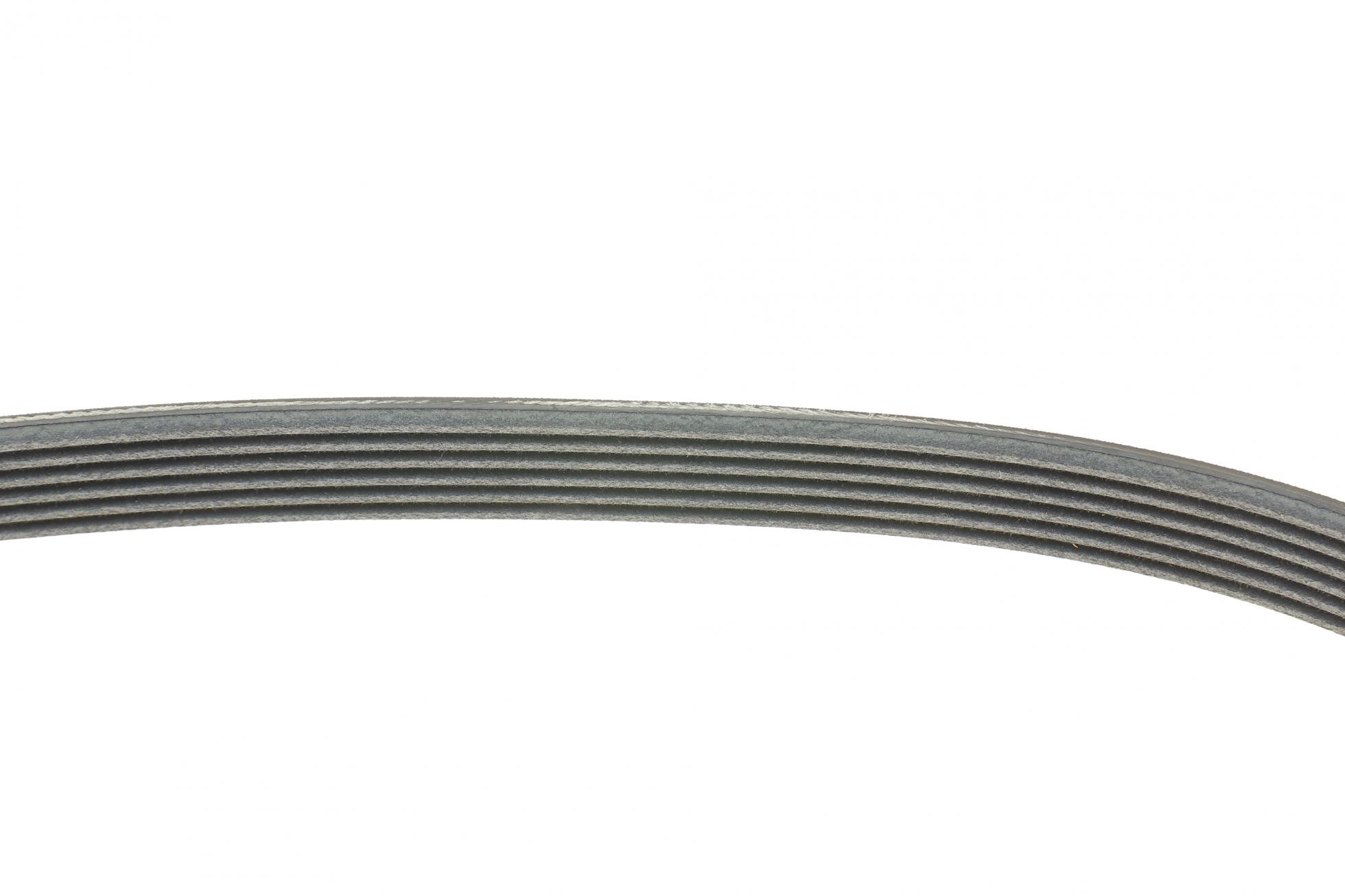 6PK1005 CONTITECH