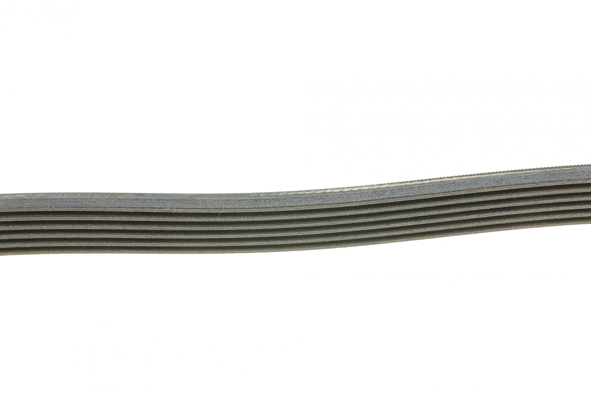 6PK1033 CONTITECH