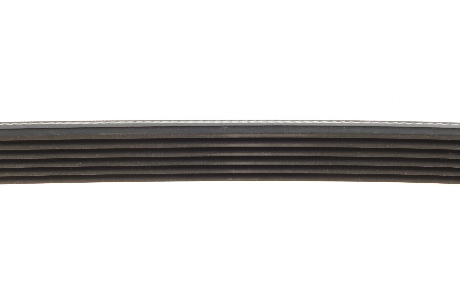 6PK1225 CONTITECH