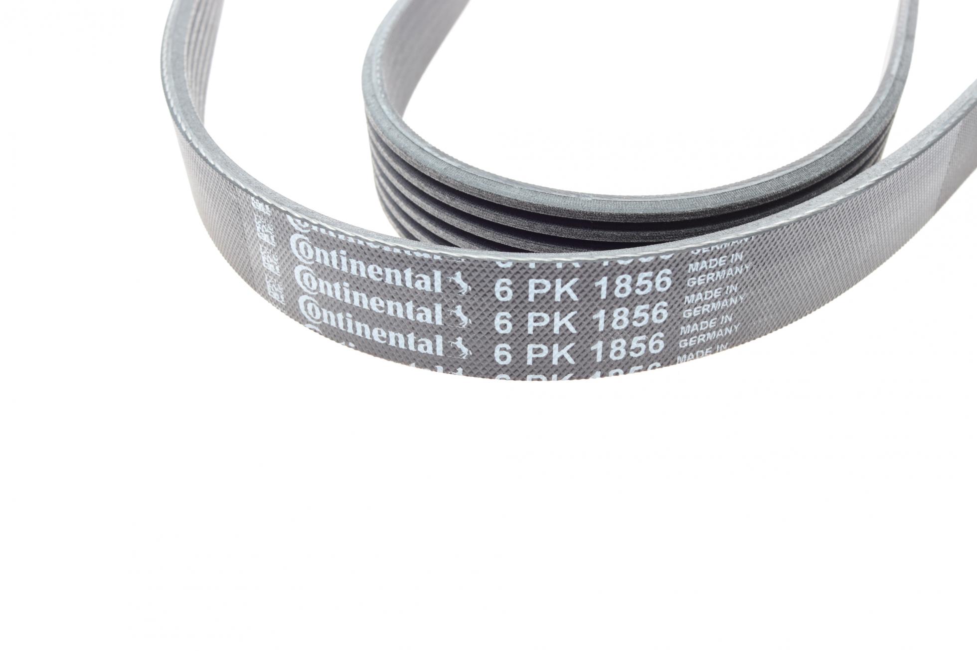 6PK1856 CONTITECH