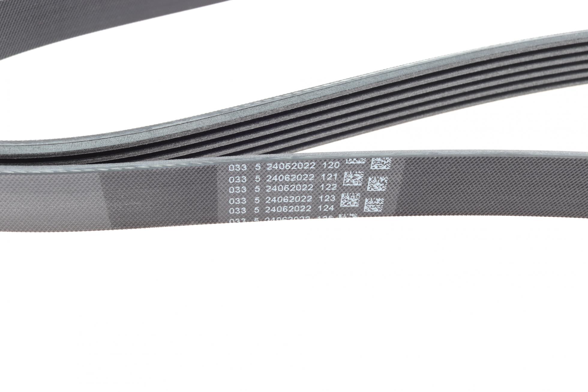 6PK1856 CONTITECH