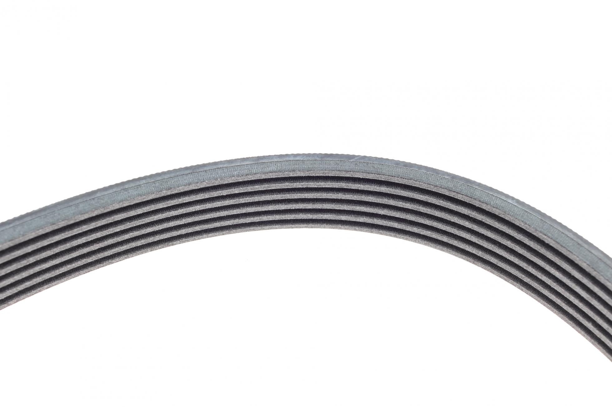 6PK1856 CONTITECH