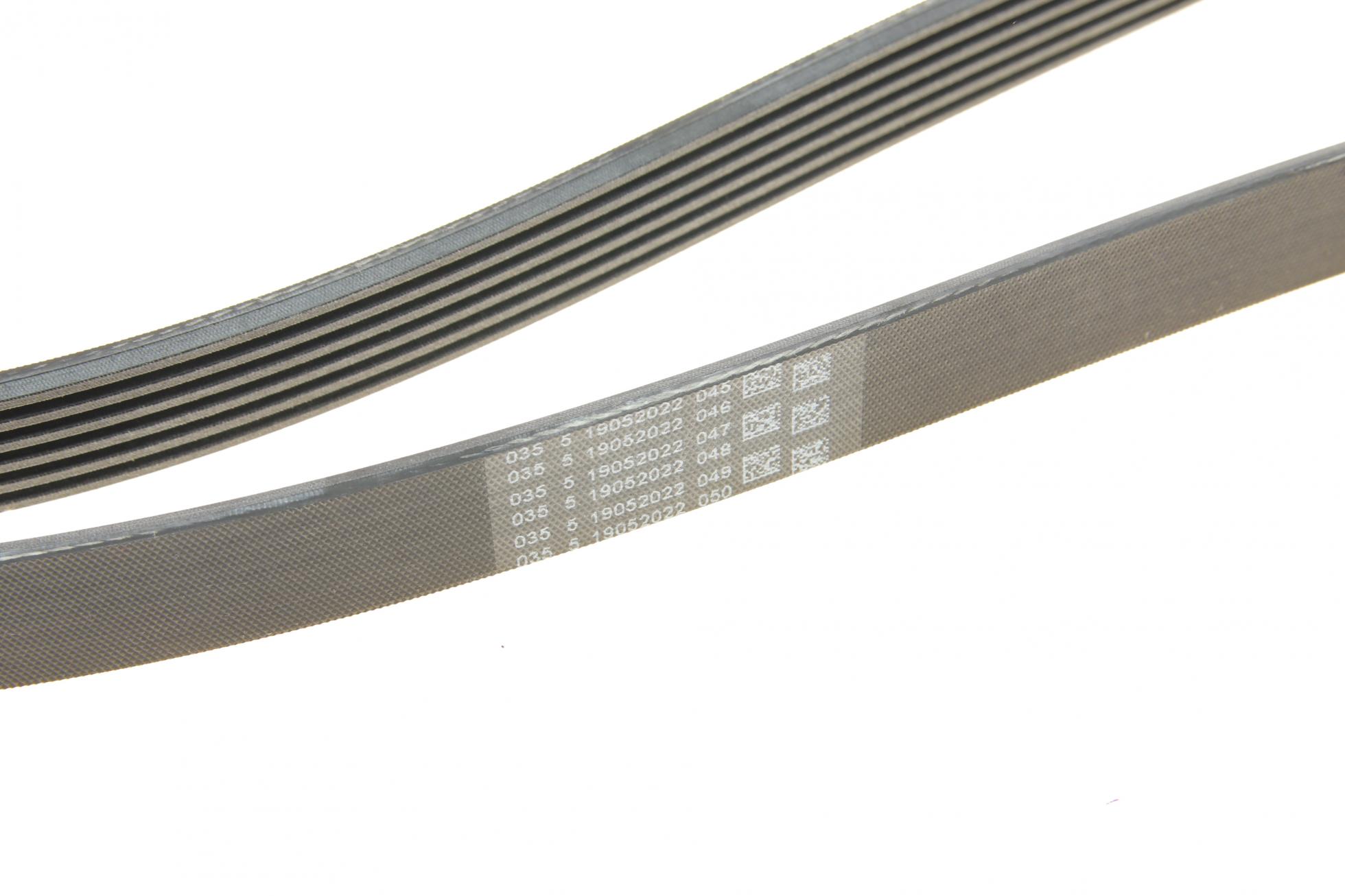 6PK2397 CONTITECH