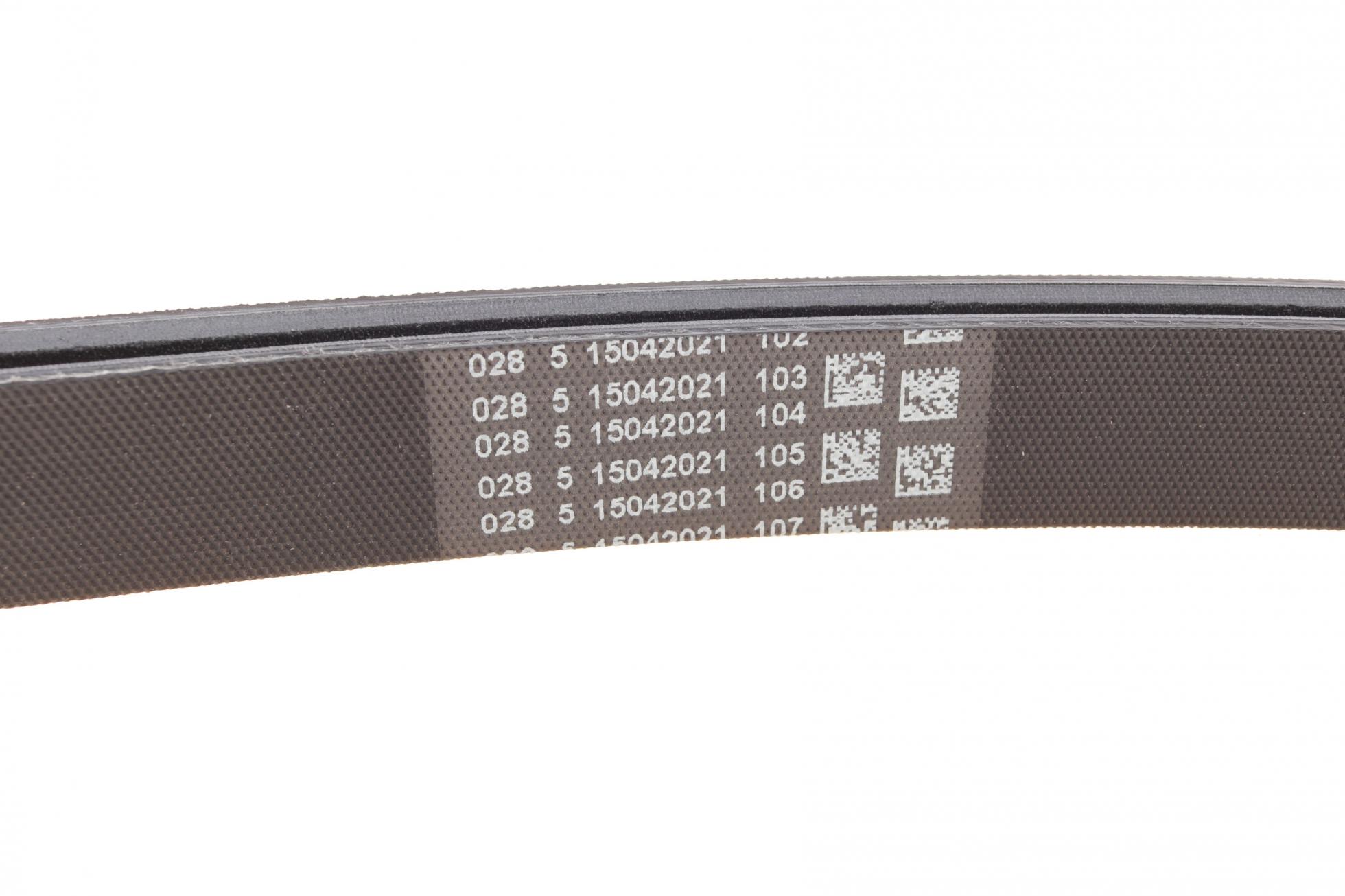 6PK2625 CONTITECH