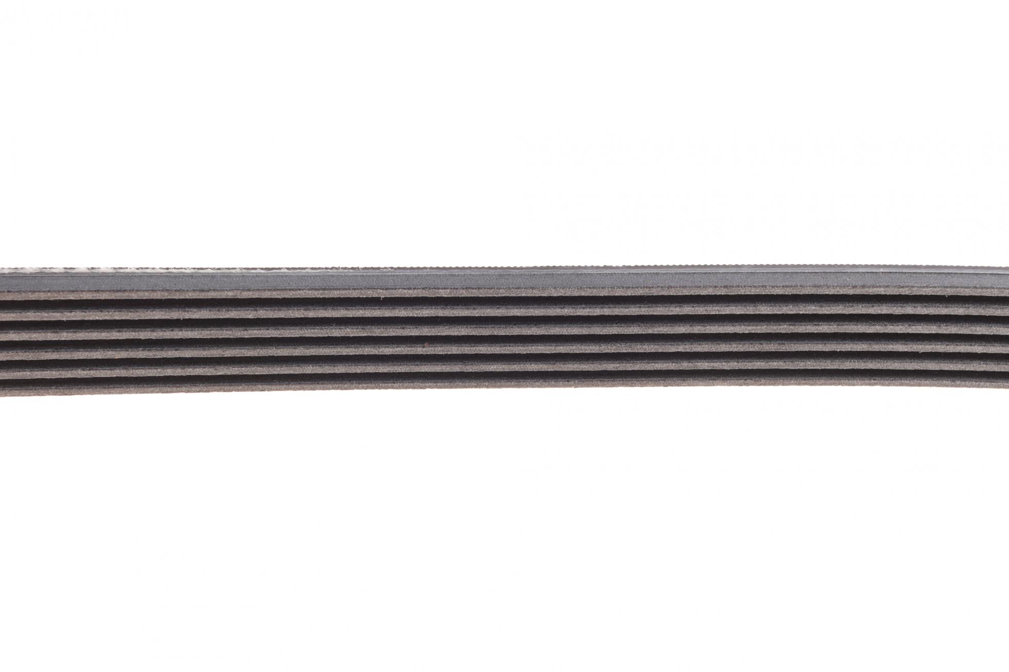 6PK2625 CONTITECH