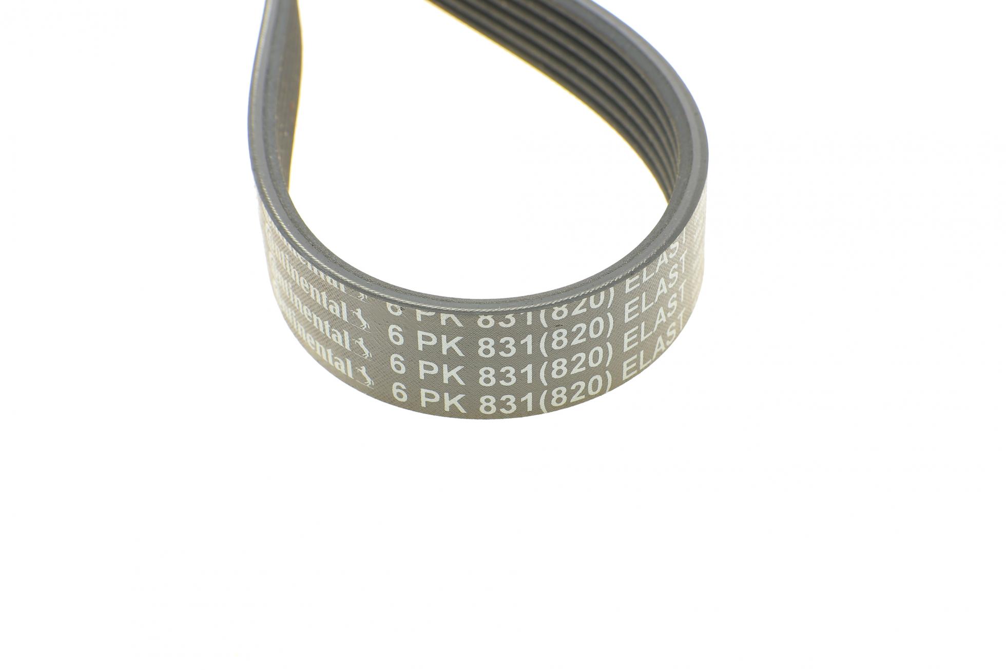 6PK831ELASTT1 CONTITECH