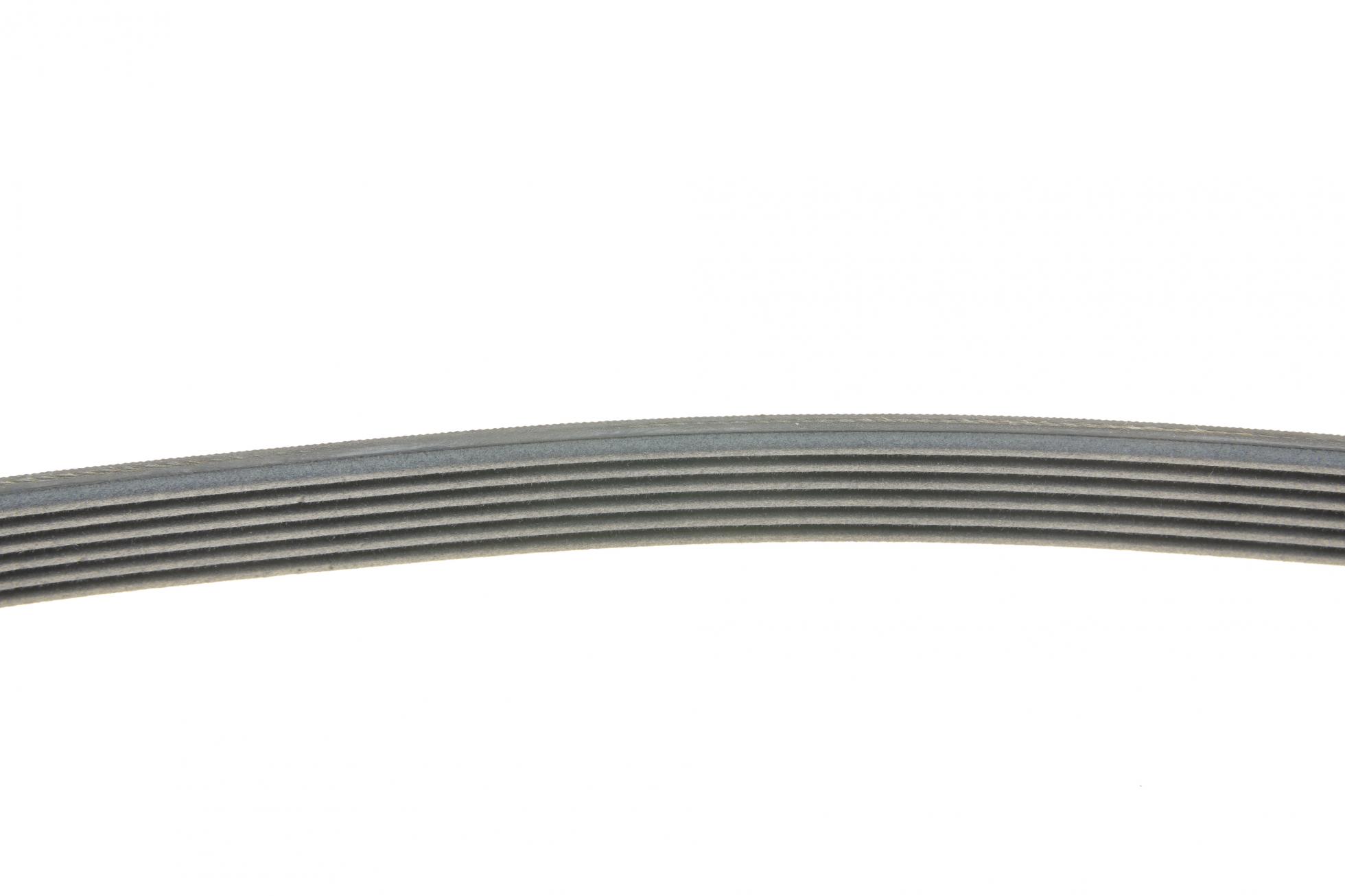 6PK848ELAST CONTITECH