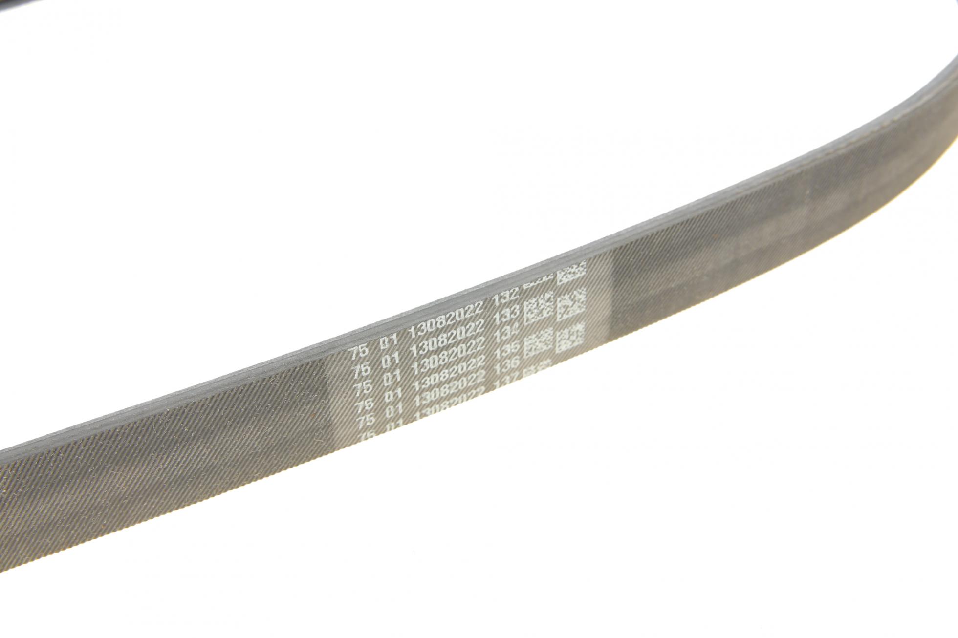 6PK848ELAST CONTITECH