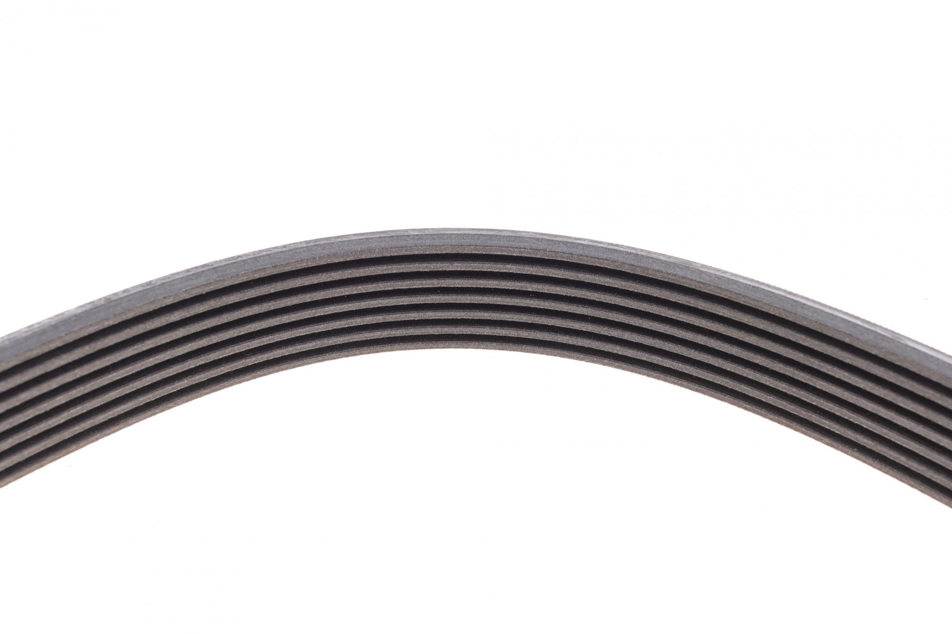 7PK1795 CONTITECH