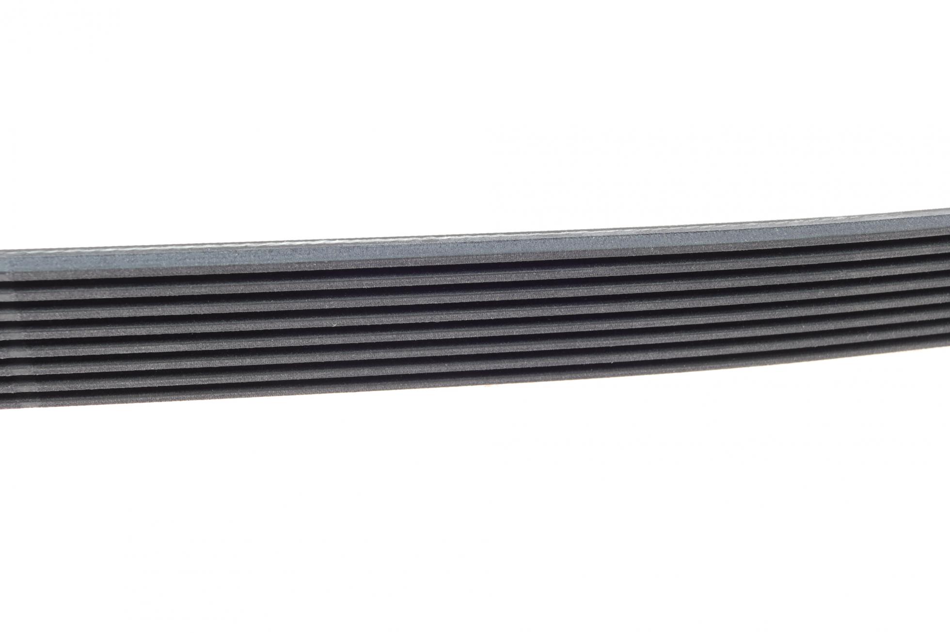 8PK1230 CONTITECH