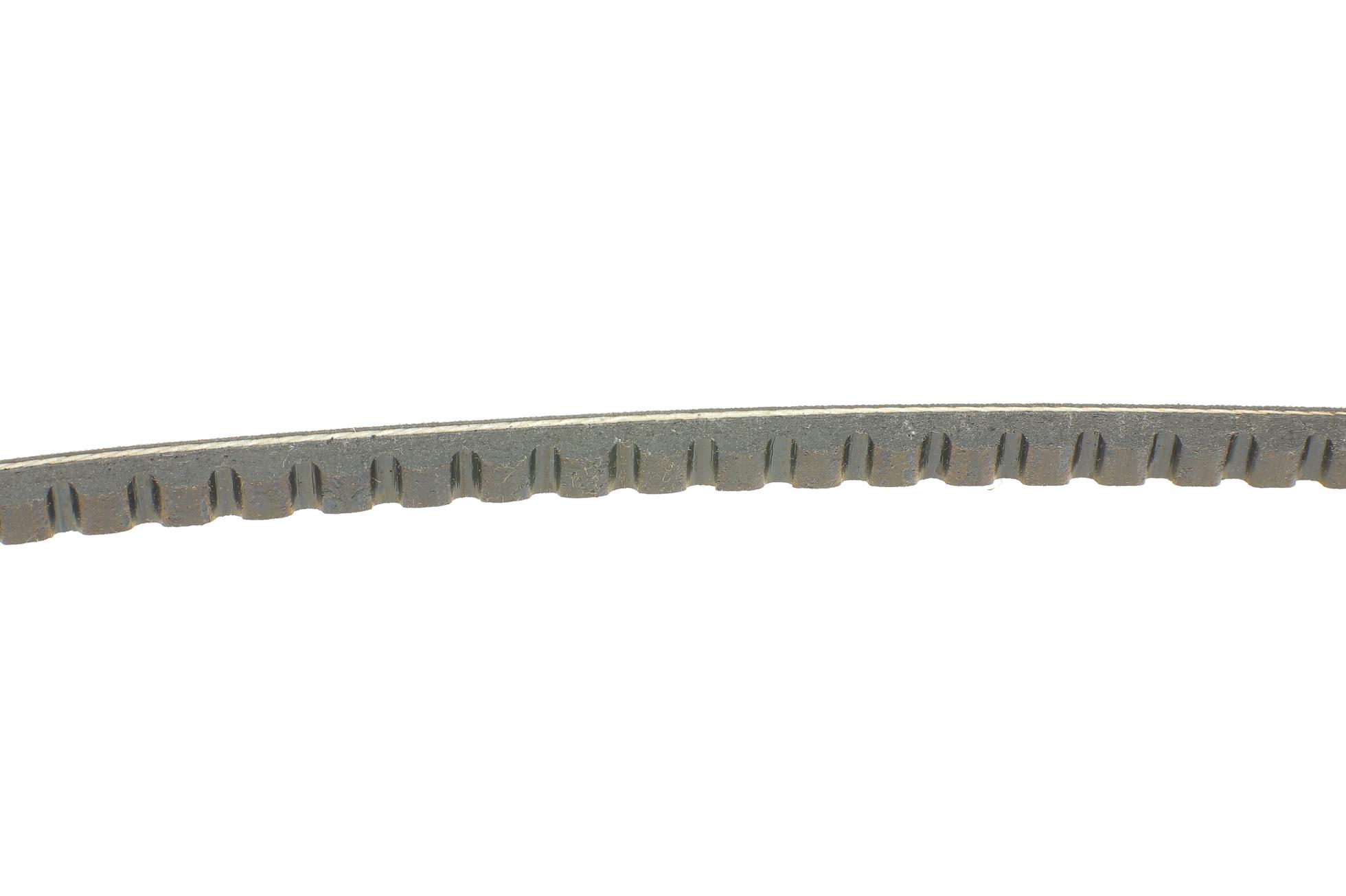 AVX10X1005 CONTITECH