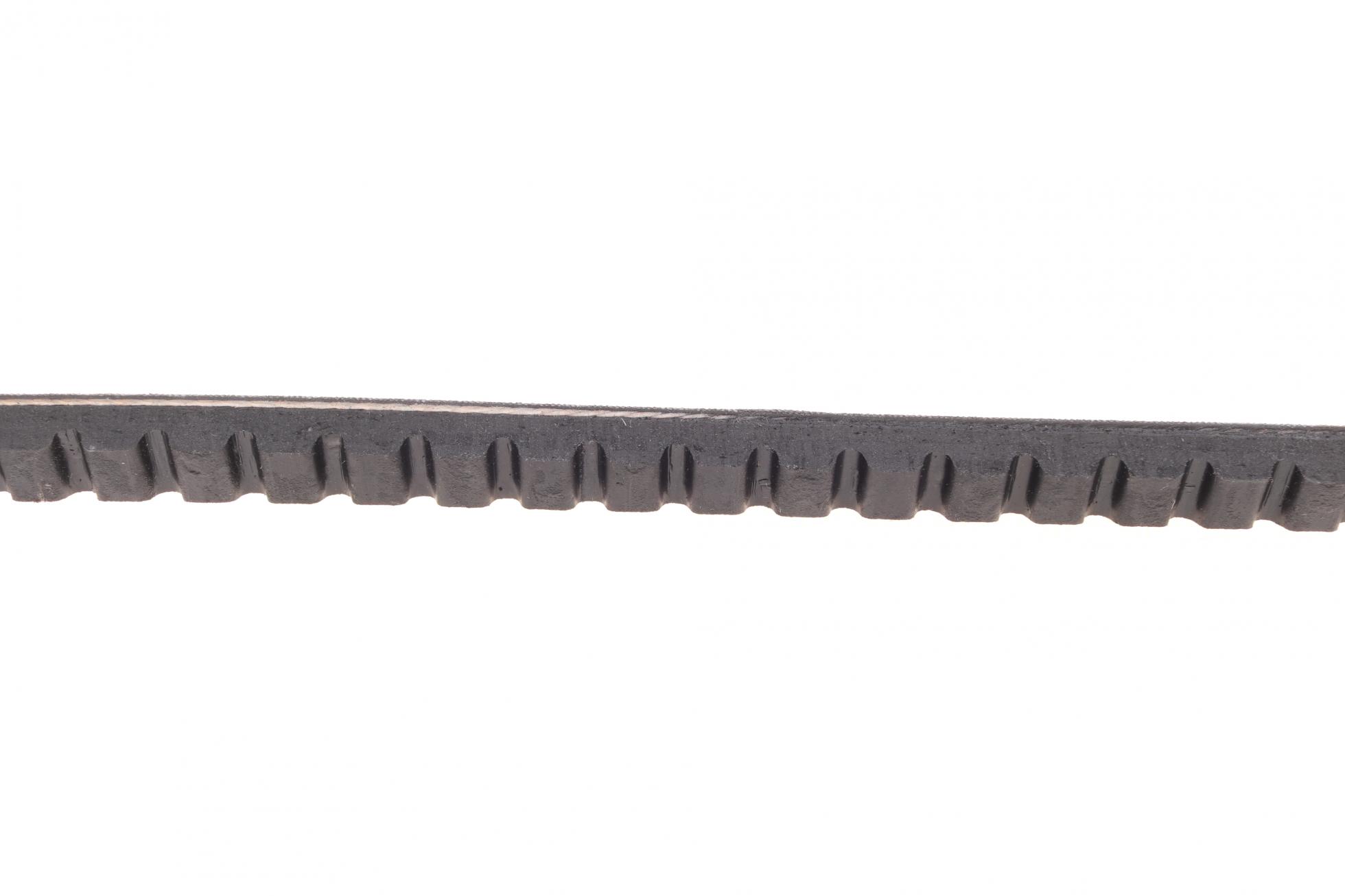 AVX13X1175 CONTITECH