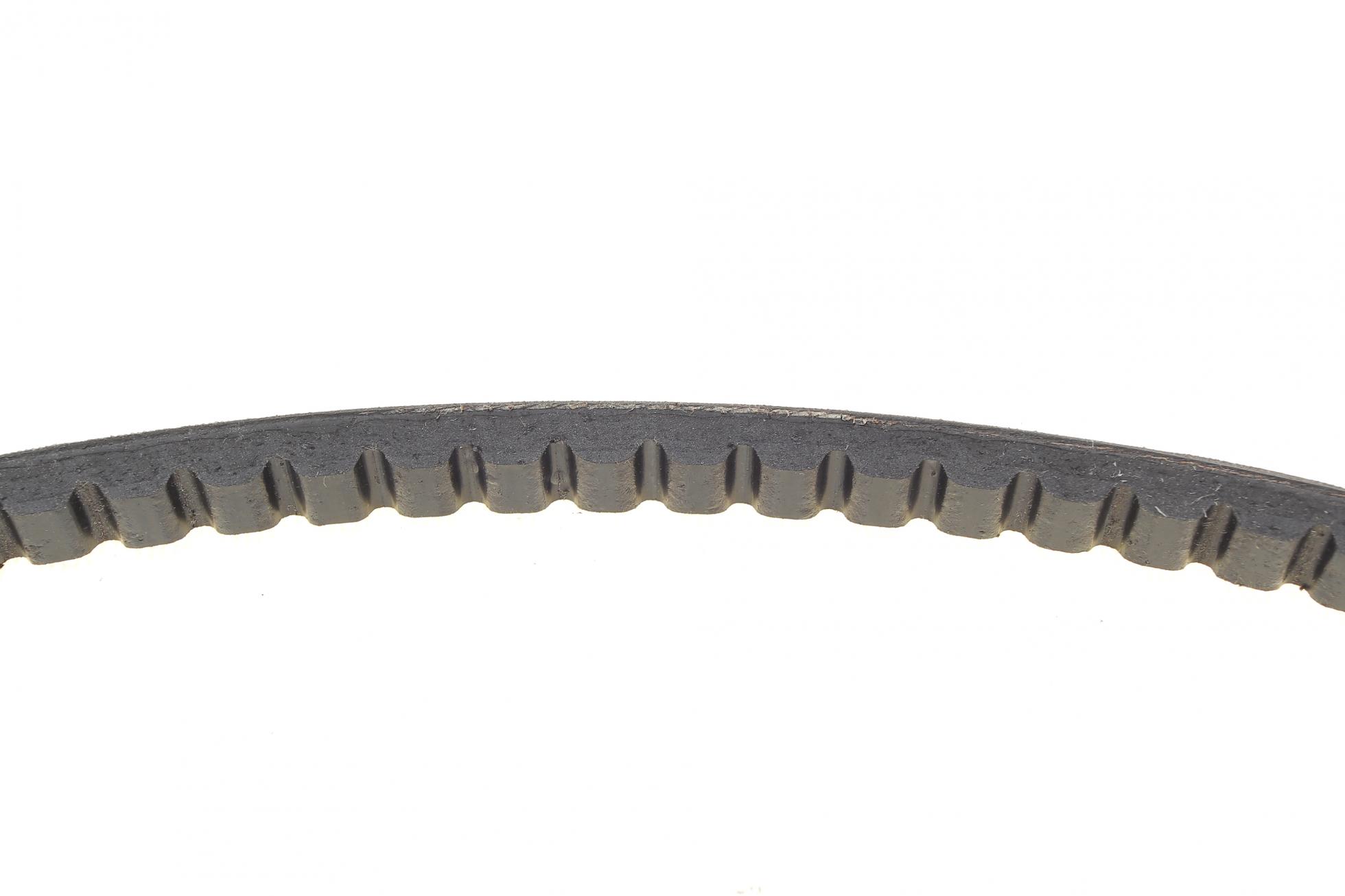 AVX13X650 CONTITECH