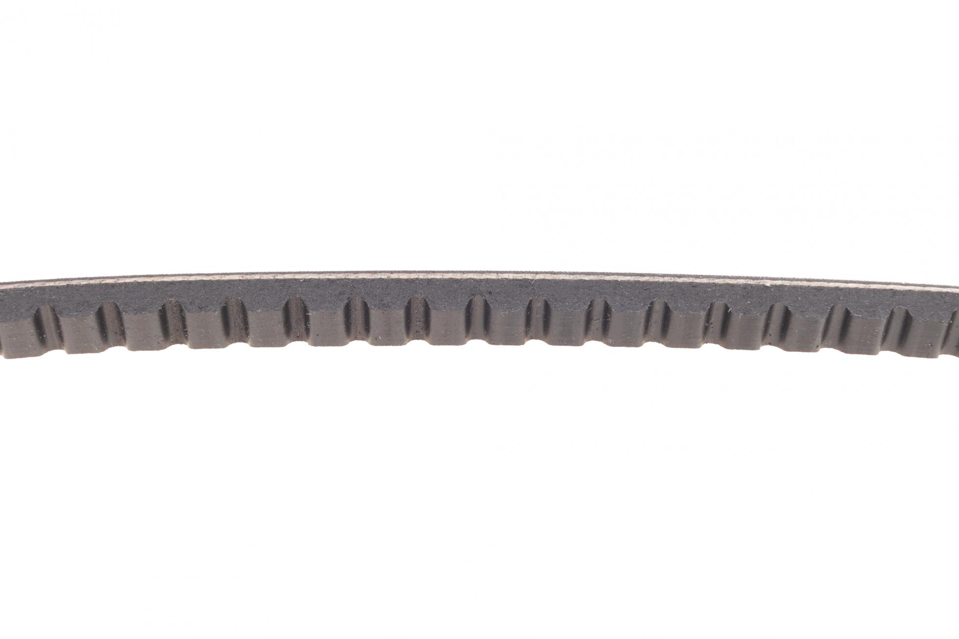 AVX13X825 CONTITECH