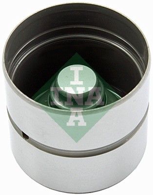 420010510 INA